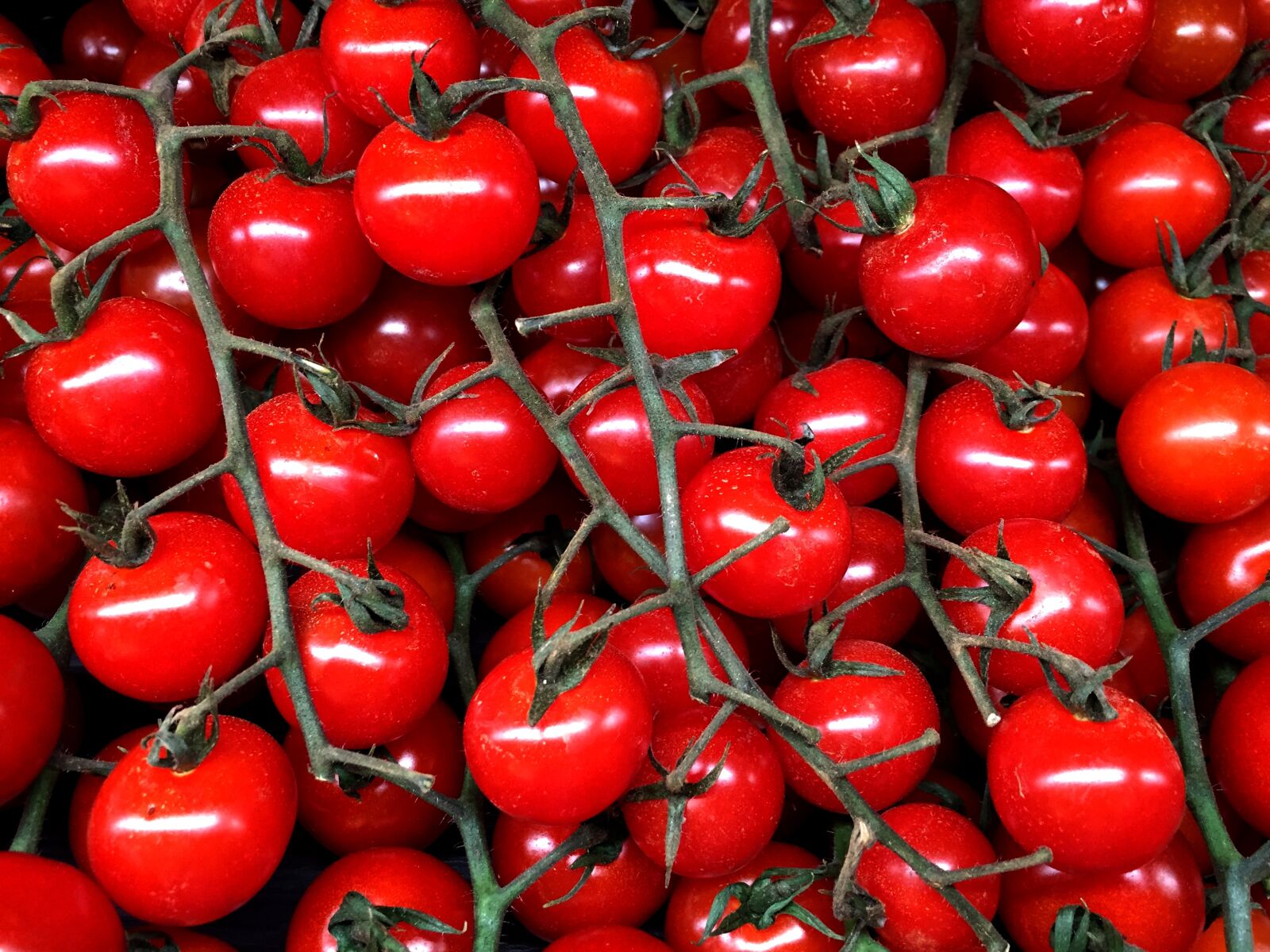 Apple iPhone 6 sample photo. Cherry tomato, tomato, vegetable photography