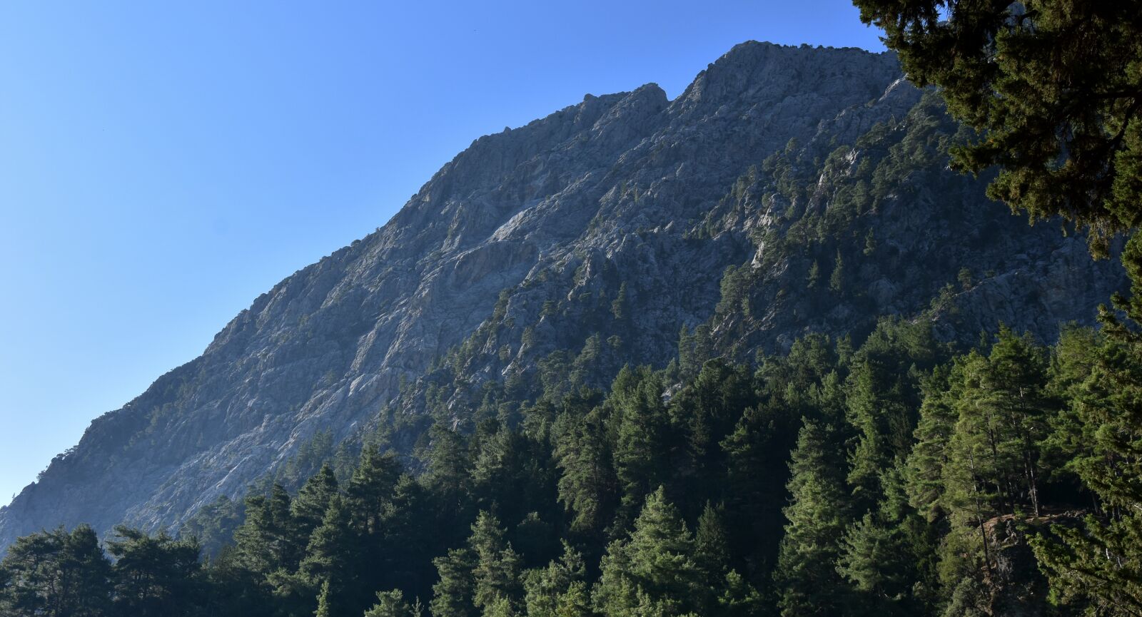 Nikon D7200 sample photo. The samaria gorge, crete photography