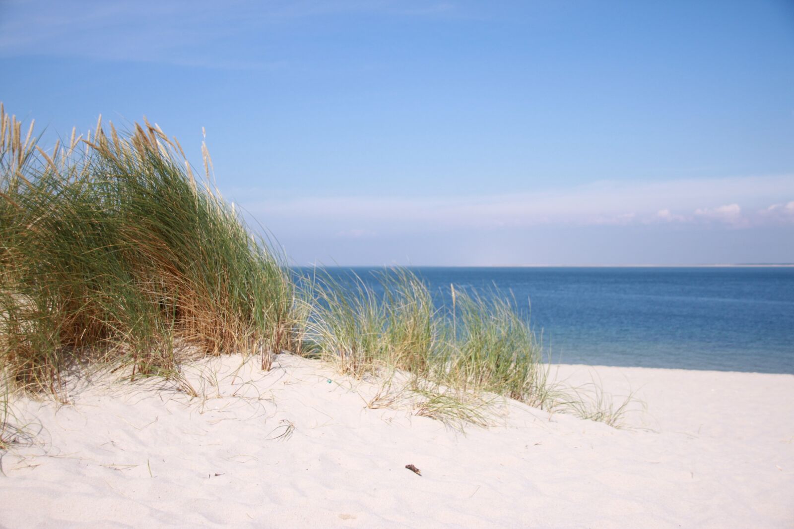 Canon EOS 500D (EOS Rebel T1i / EOS Kiss X3) sample photo. Beach, sand, north sea photography
