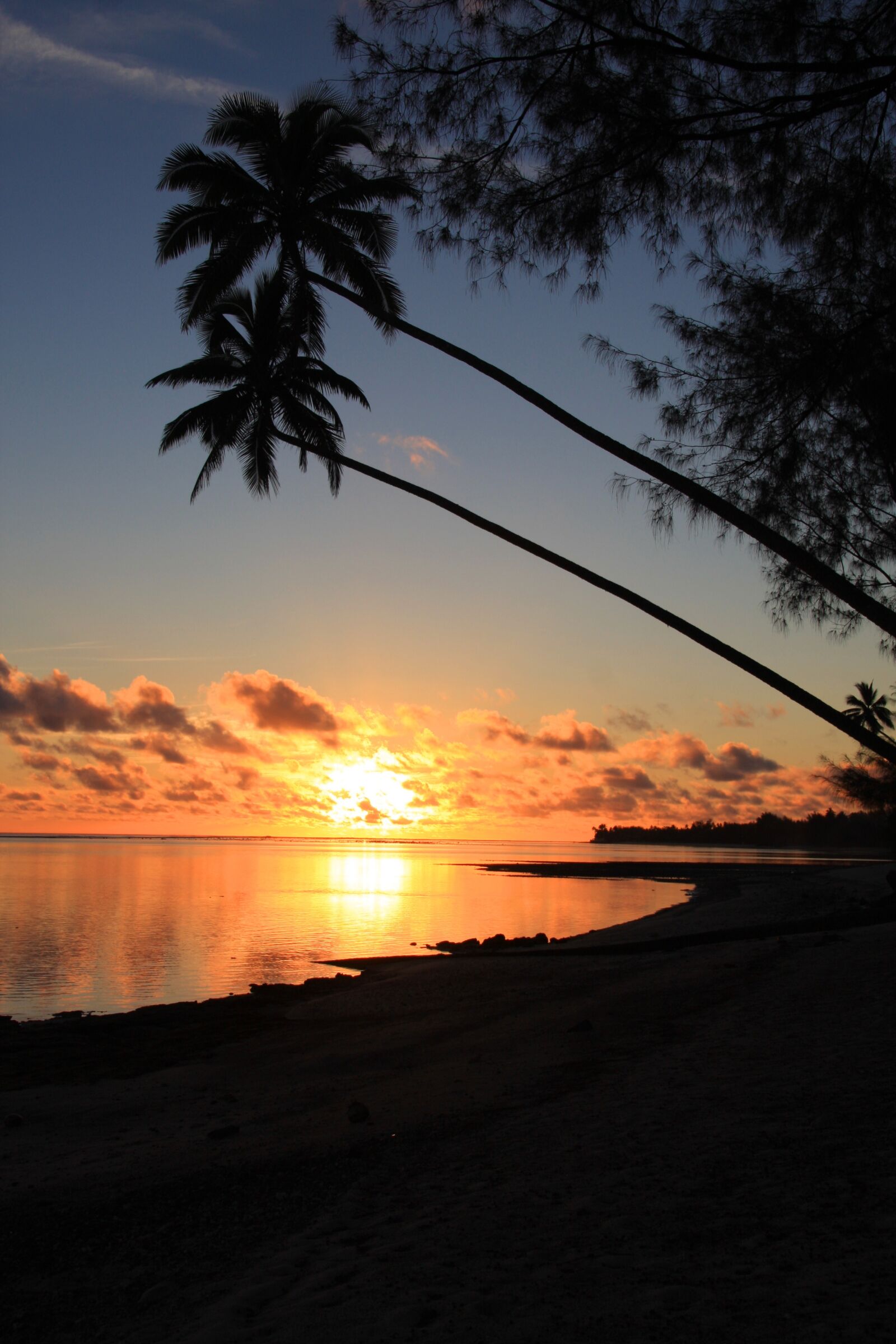 Canon EOS 40D sample photo. Rarotonga, sunset, coconut palms photography