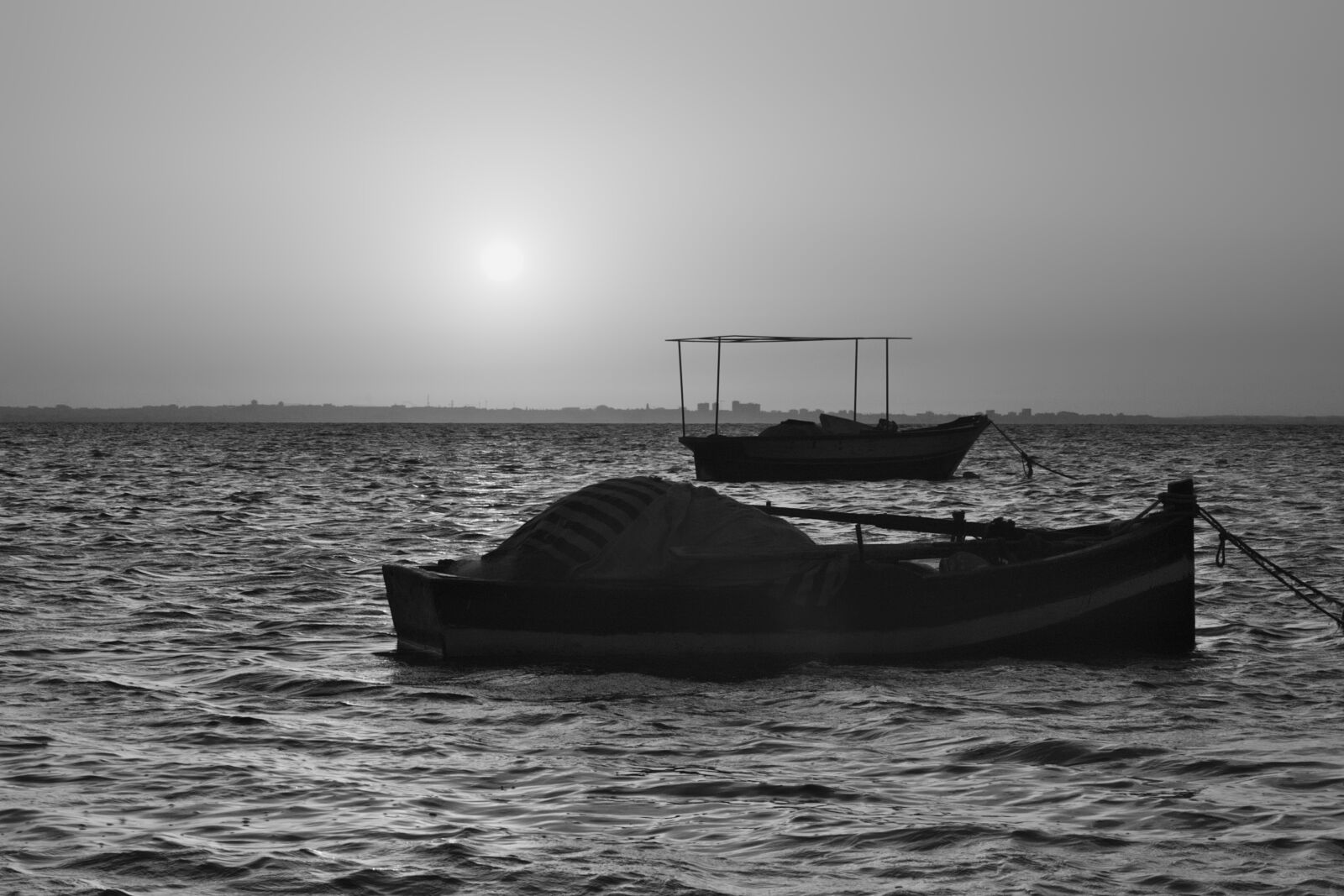 Nikon D5500 sample photo. Beats, deep, sea, mysterious photography