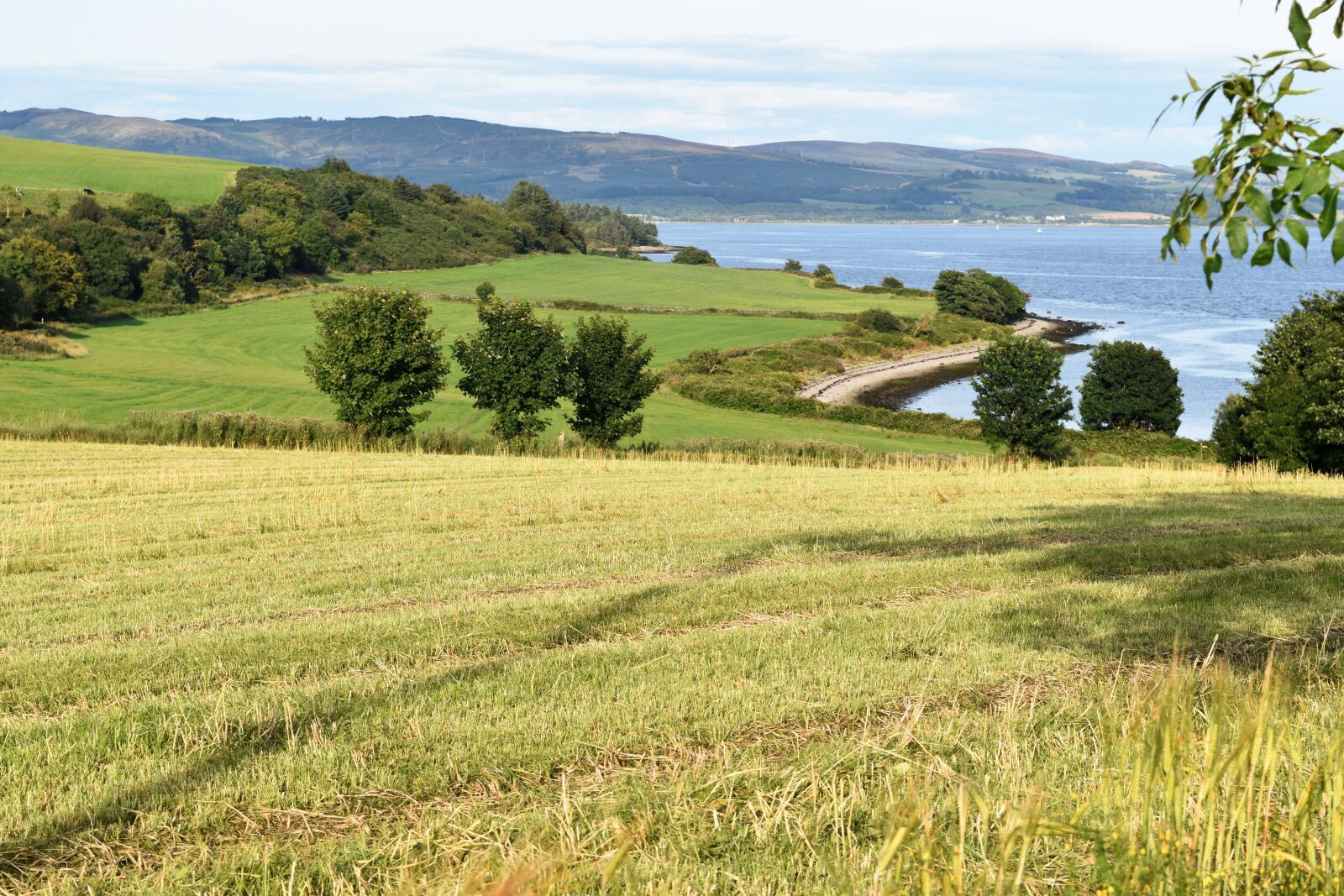 Nikon D5500 sample photo. Field, farm, countryside photography