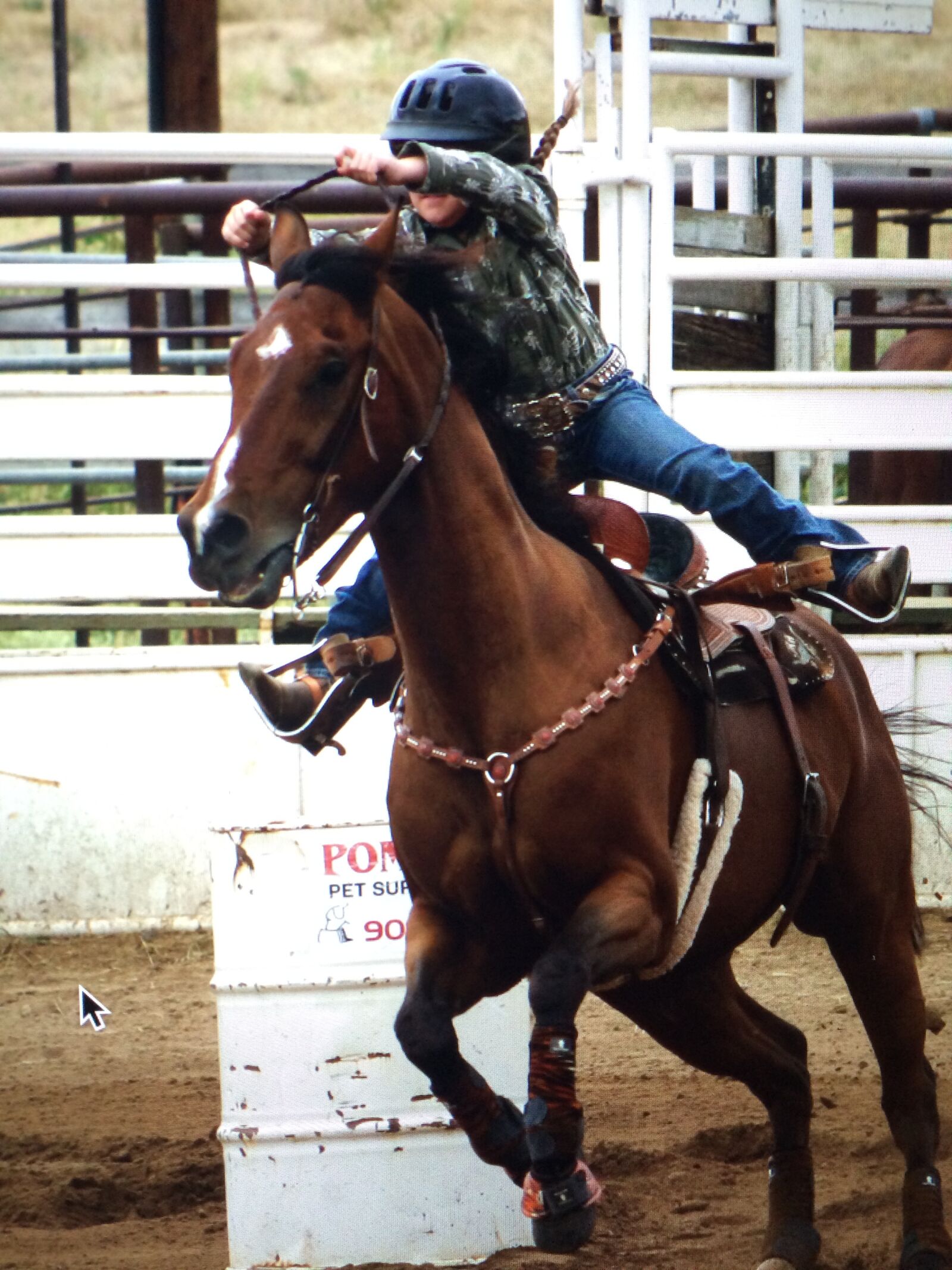 iPhone 5s back camera 4.12mm f/2.2 sample photo. Horse, rodeo, cowboy photography
