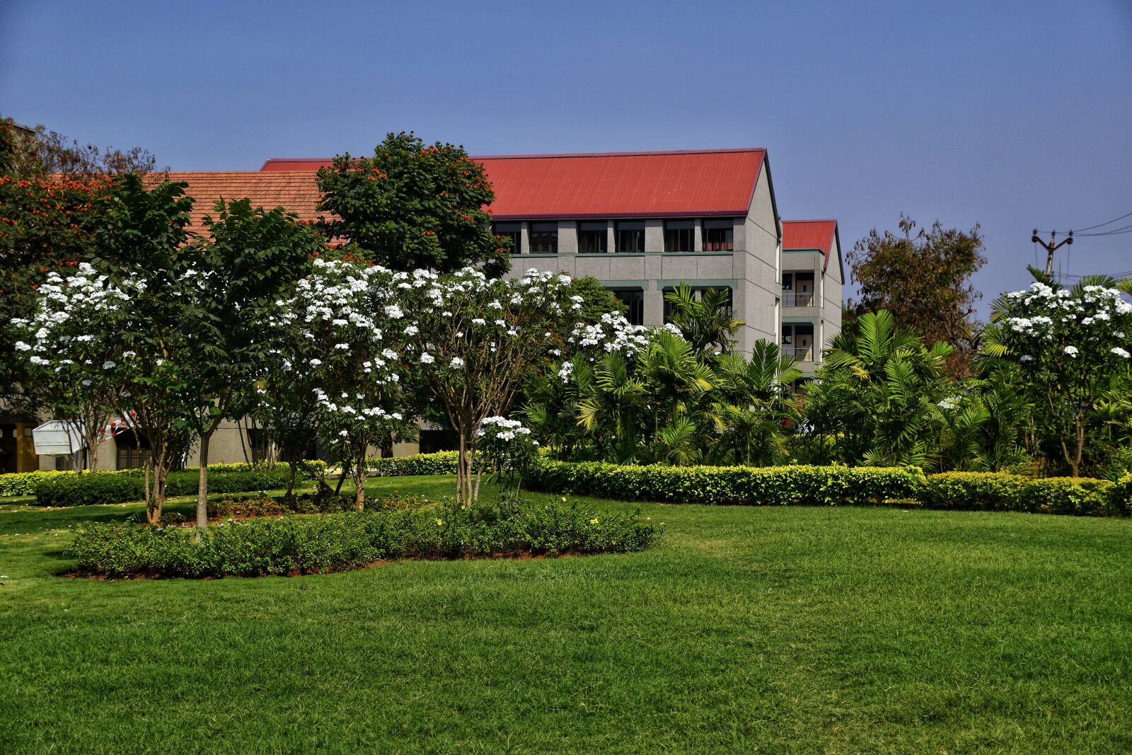Nikon D5500 sample photo