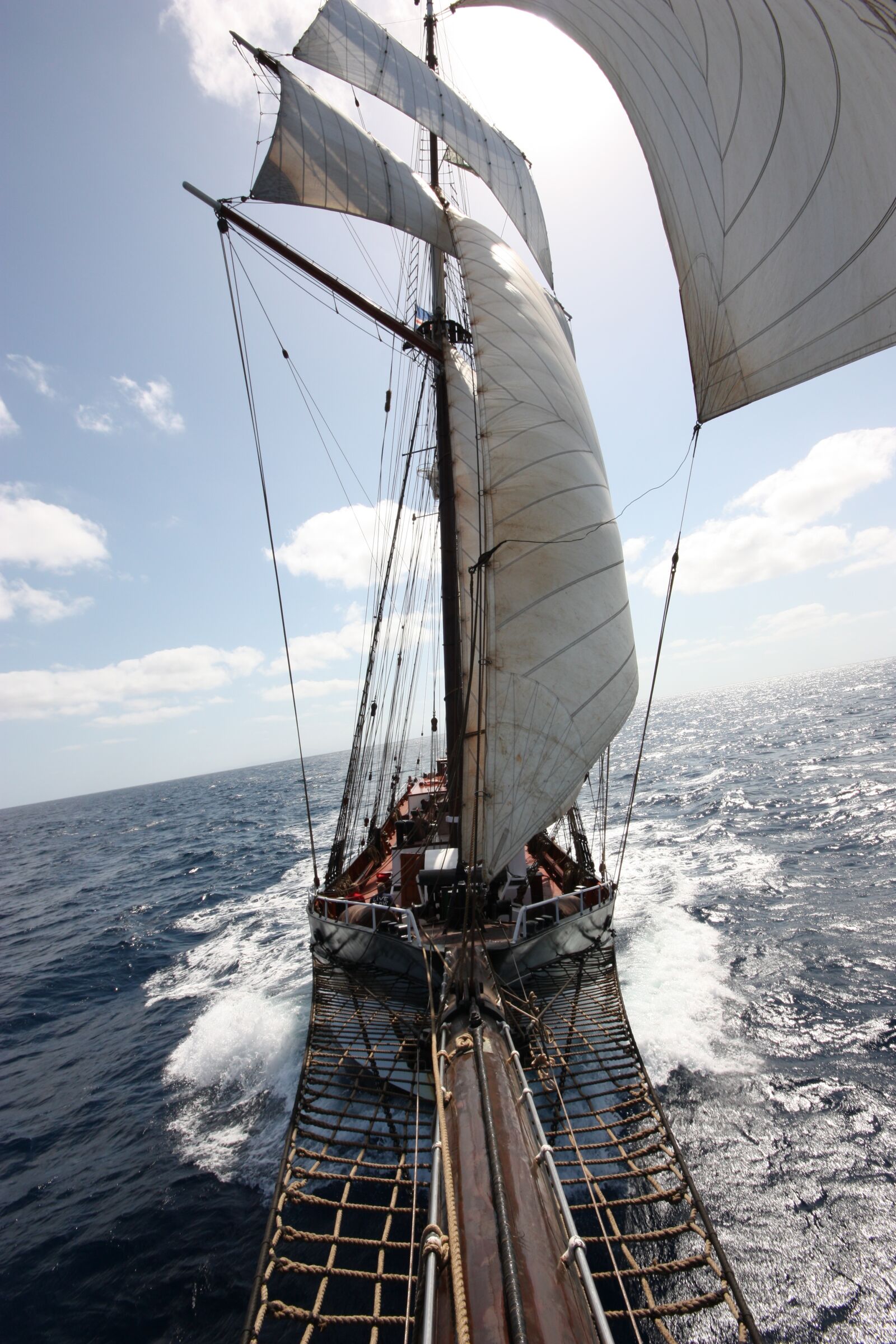 Canon EOS 450D (EOS Rebel XSi / EOS Kiss X2) sample photo. Tall ship, oosterschelde, classic photography