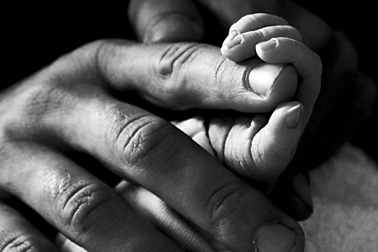 Canon EOS 60D sample photo. Hands, handyman, son photography