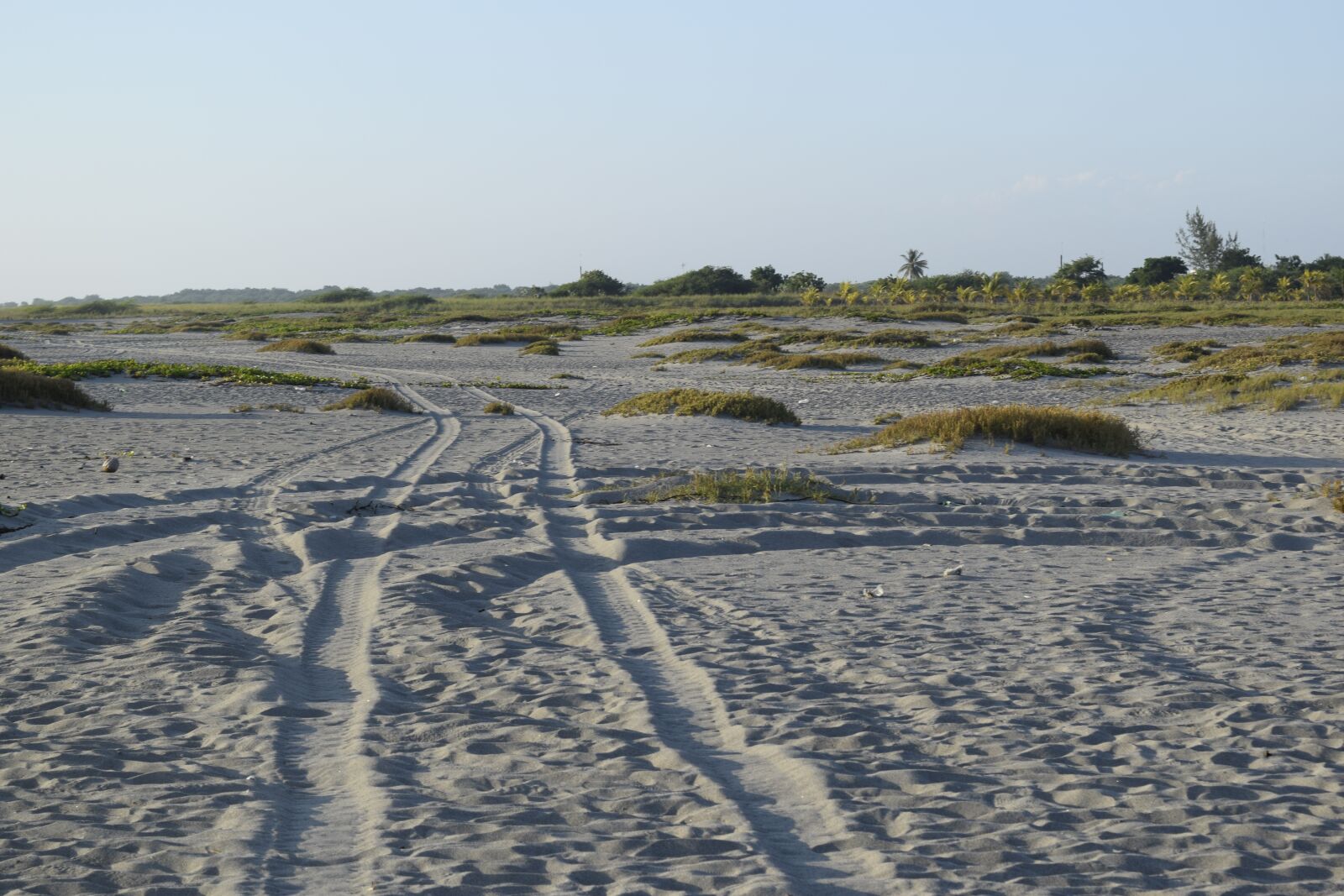Nikon D5300 sample photo. Beach, sand, path photography