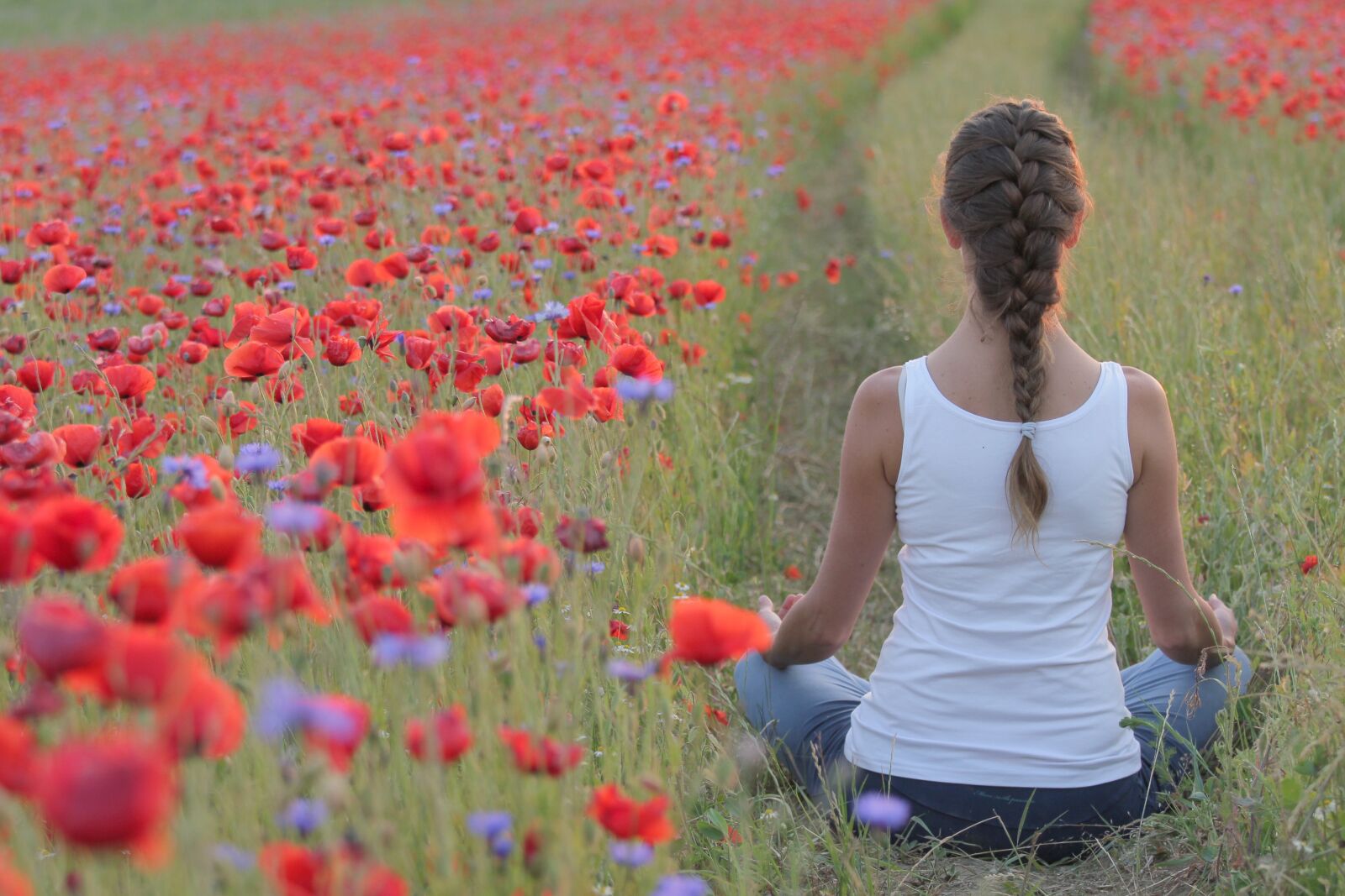 Canon EOS 550D (EOS Rebel T2i / EOS Kiss X4) sample photo. Poppies, yoga, field photography