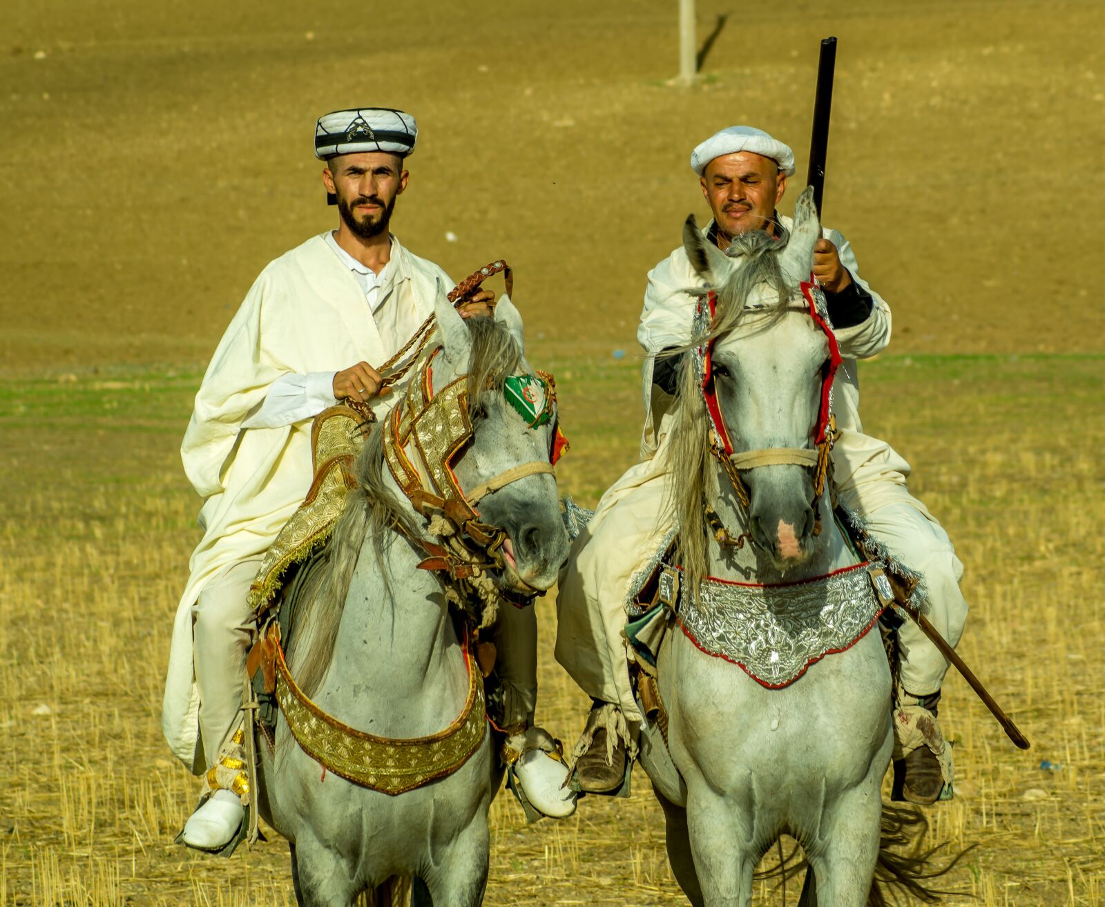 Sony SLT-A58 sample photo. Cavalry, celebrate, wedding photography
