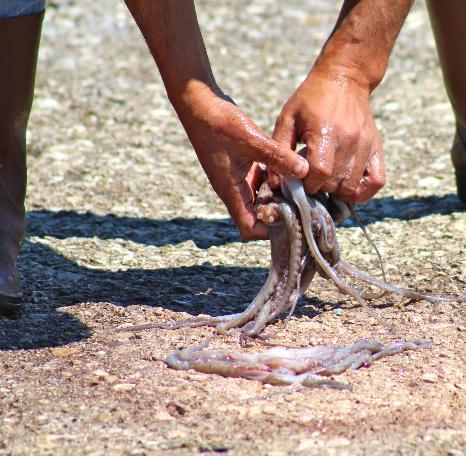 Canon EF 75-300mm f/4-5.6 sample photo