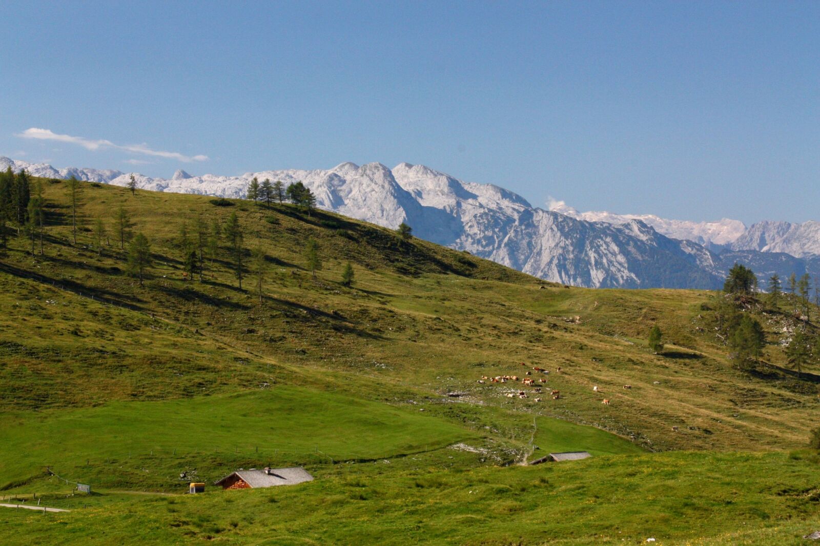 Canon EOS 450D (EOS Rebel XSi / EOS Kiss X2) sample photo. Alm, mountains, alpine photography