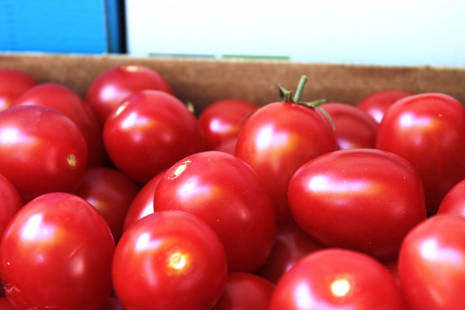 Canon EOS 1200D (EOS Rebel T5 / EOS Kiss X70 / EOS Hi) sample photo. Tomatoes, red, fresh photography