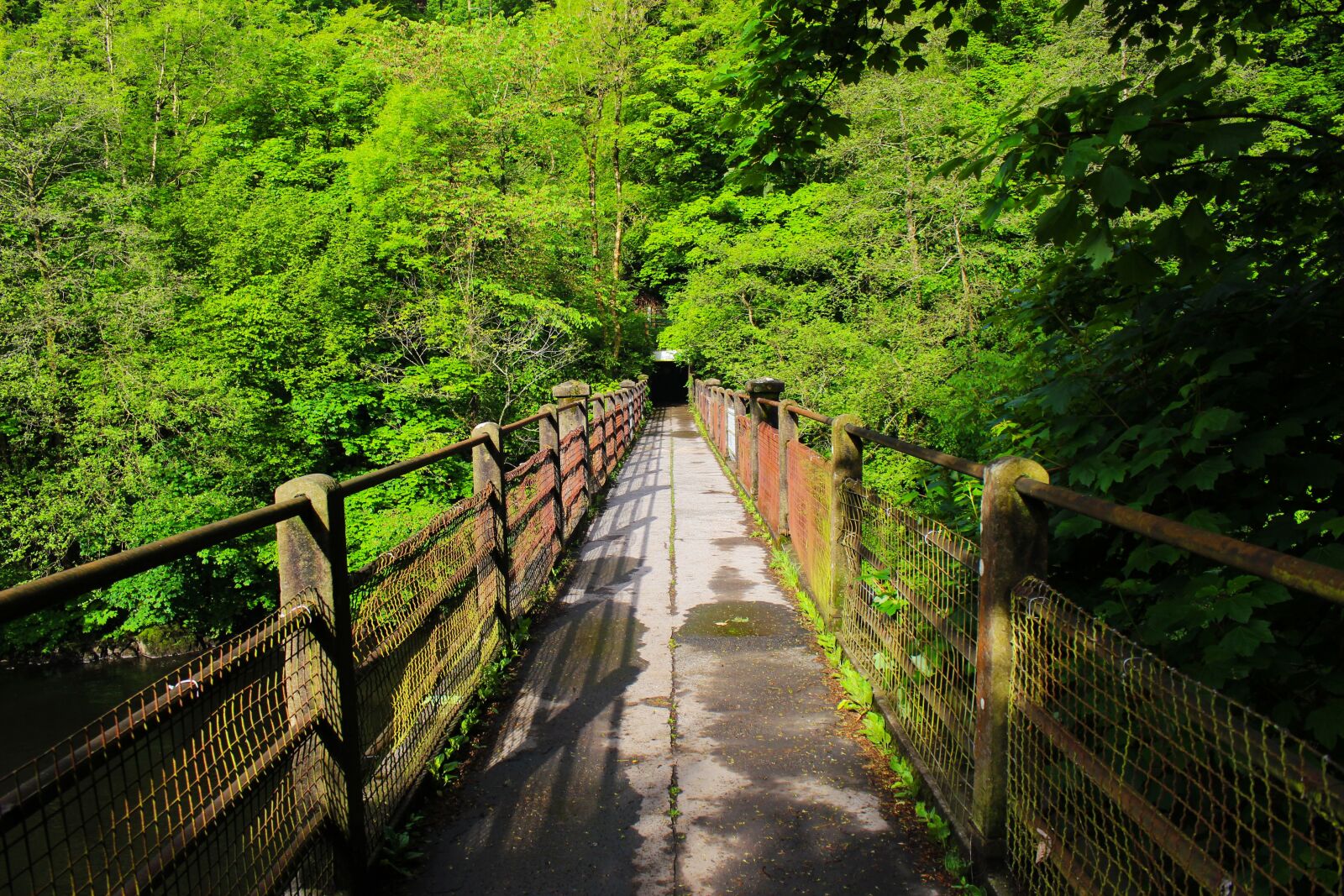 Canon EOS 700D (EOS Rebel T5i / EOS Kiss X7i) sample photo. Bridge, wood, nature photography