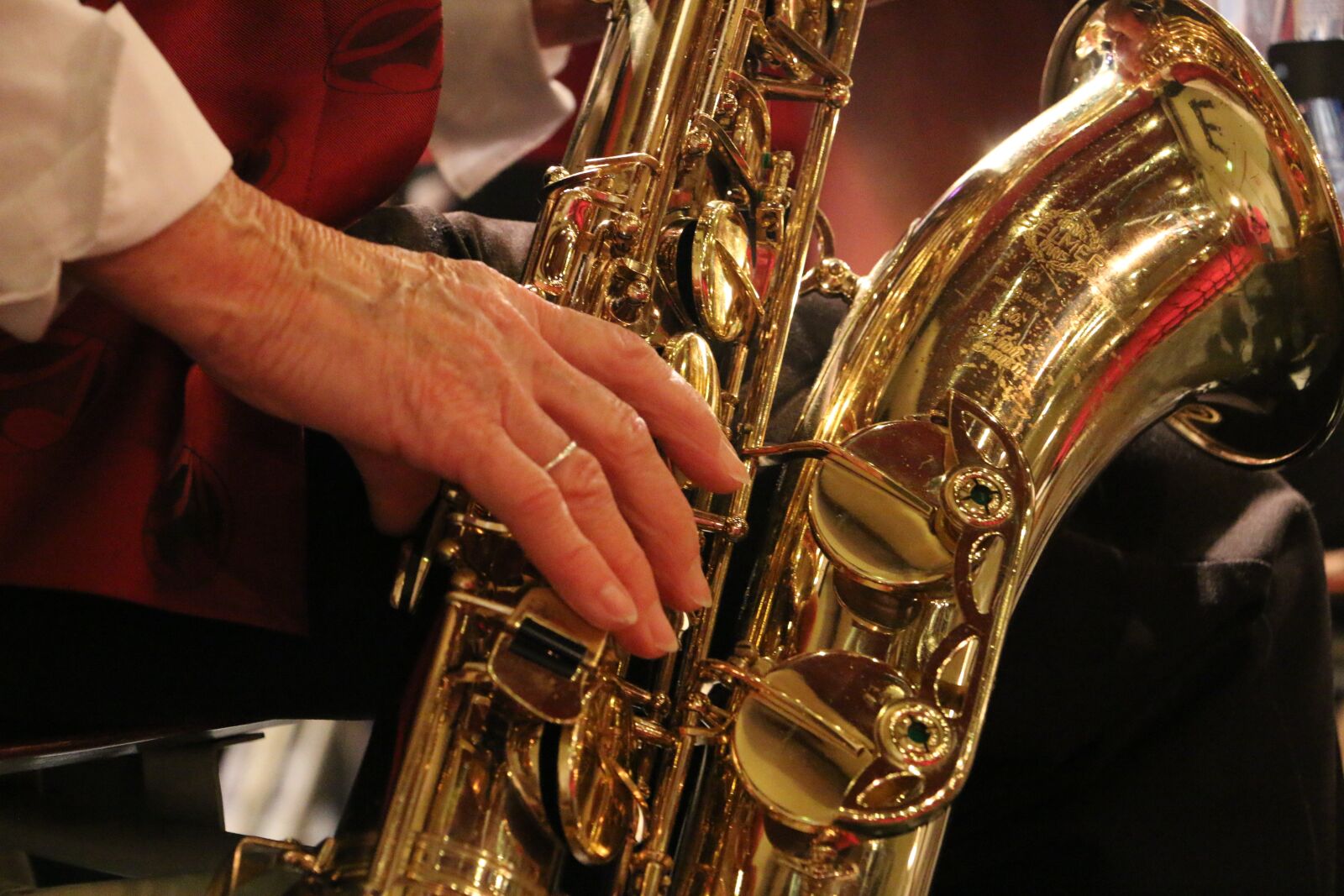 Canon EOS 70D sample photo. Musical instrument, orchestra, music photography