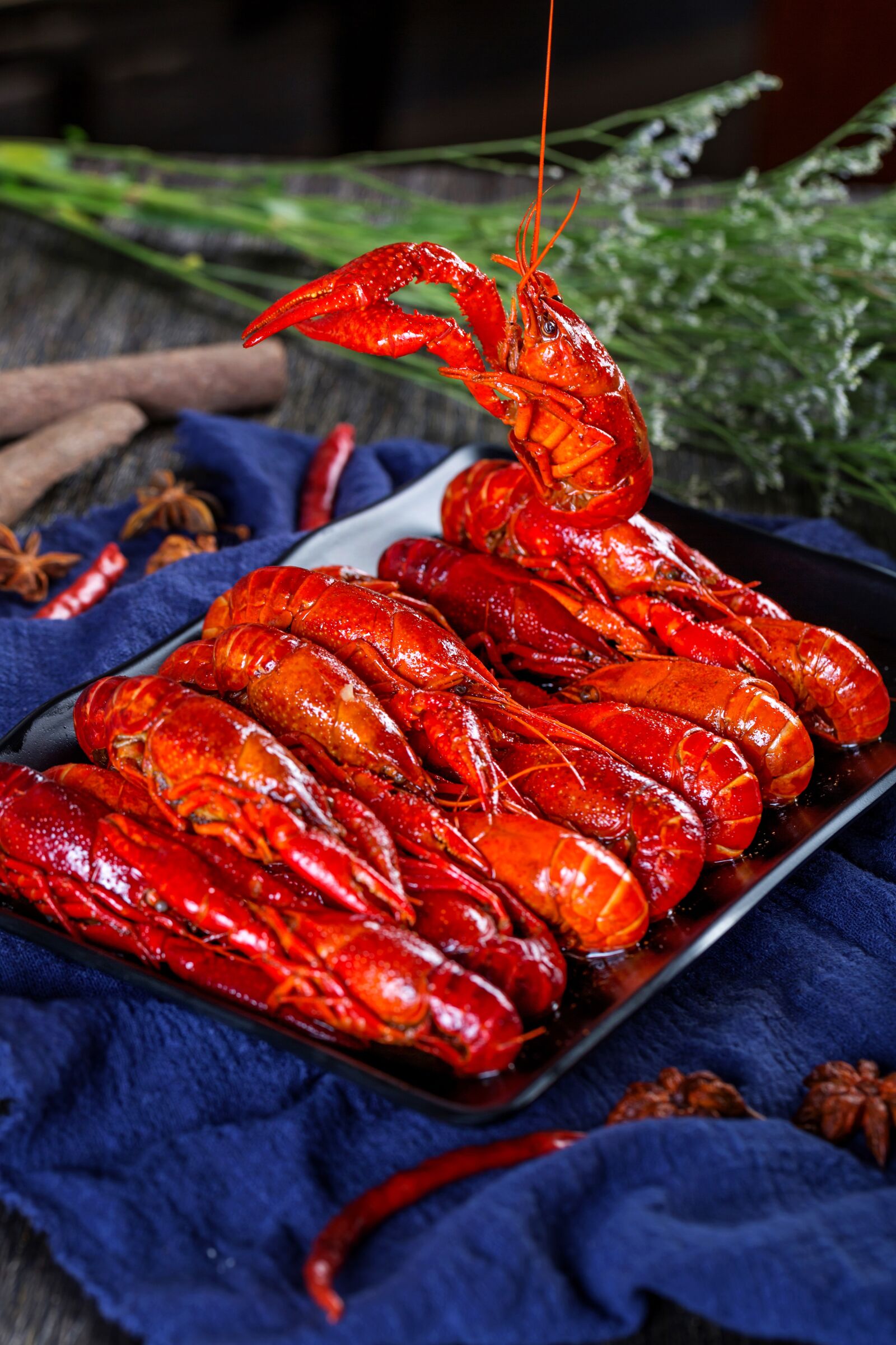 Canon EF 100mm F2.8L Macro IS USM sample photo. Crayfish, shrimp inspector gadget photography