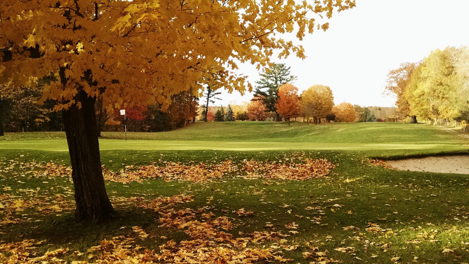 Motorola XT1080 sample photo. Autumn, scene, golf, course photography