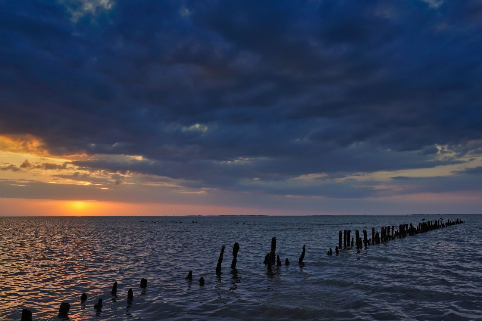 Sony a7 III sample photo. Sunset, east frisia, north photography