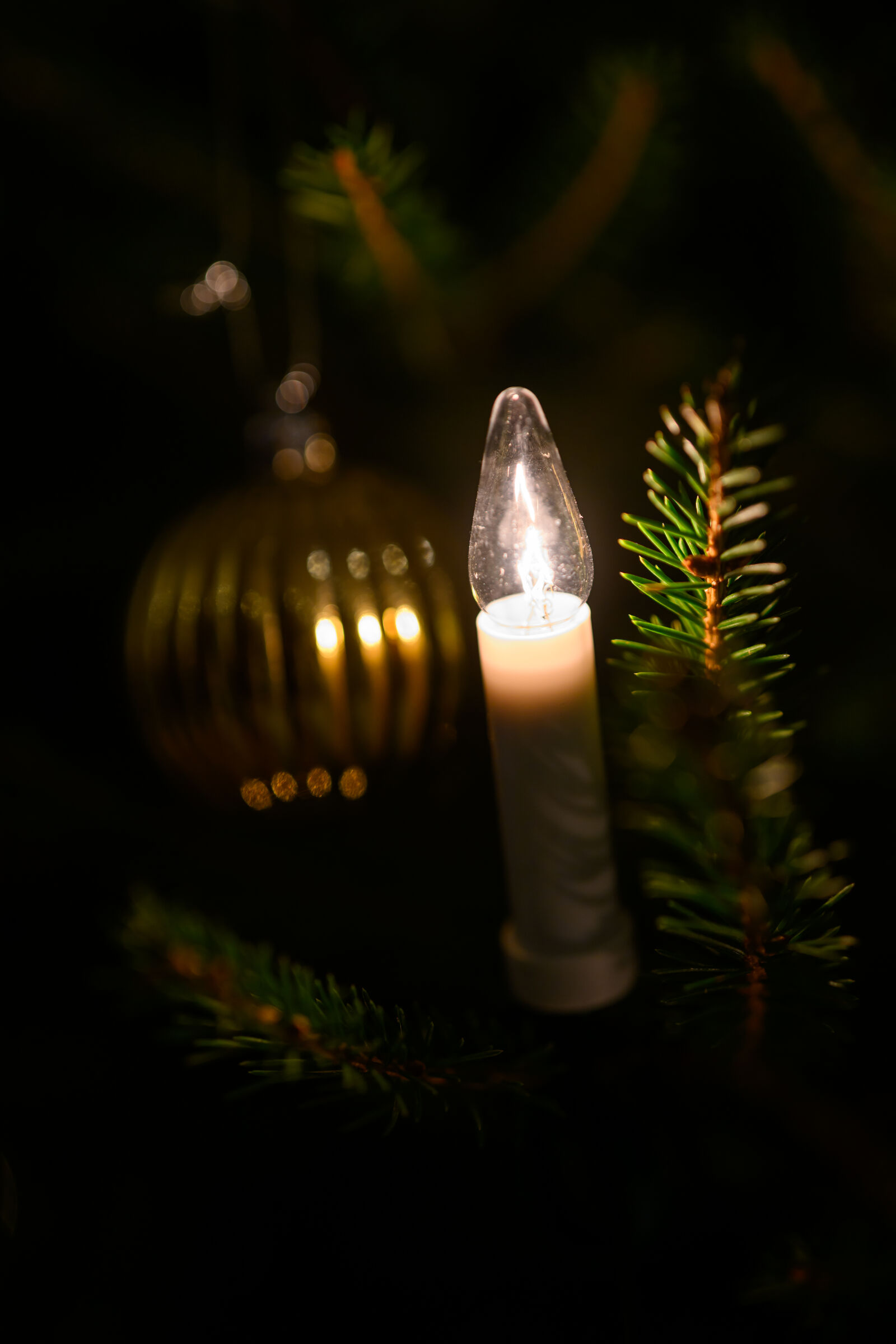 Nikon Z9 sample photo. Christmas decoration light photography