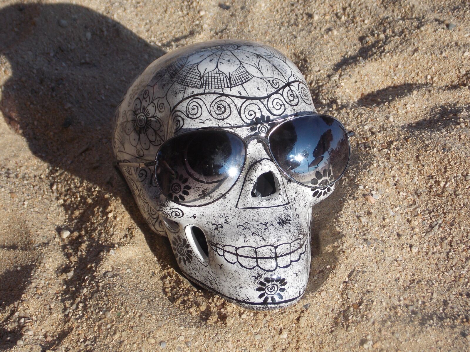 Nikon Coolpix L810 sample photo. Sand, skull, lenses photography