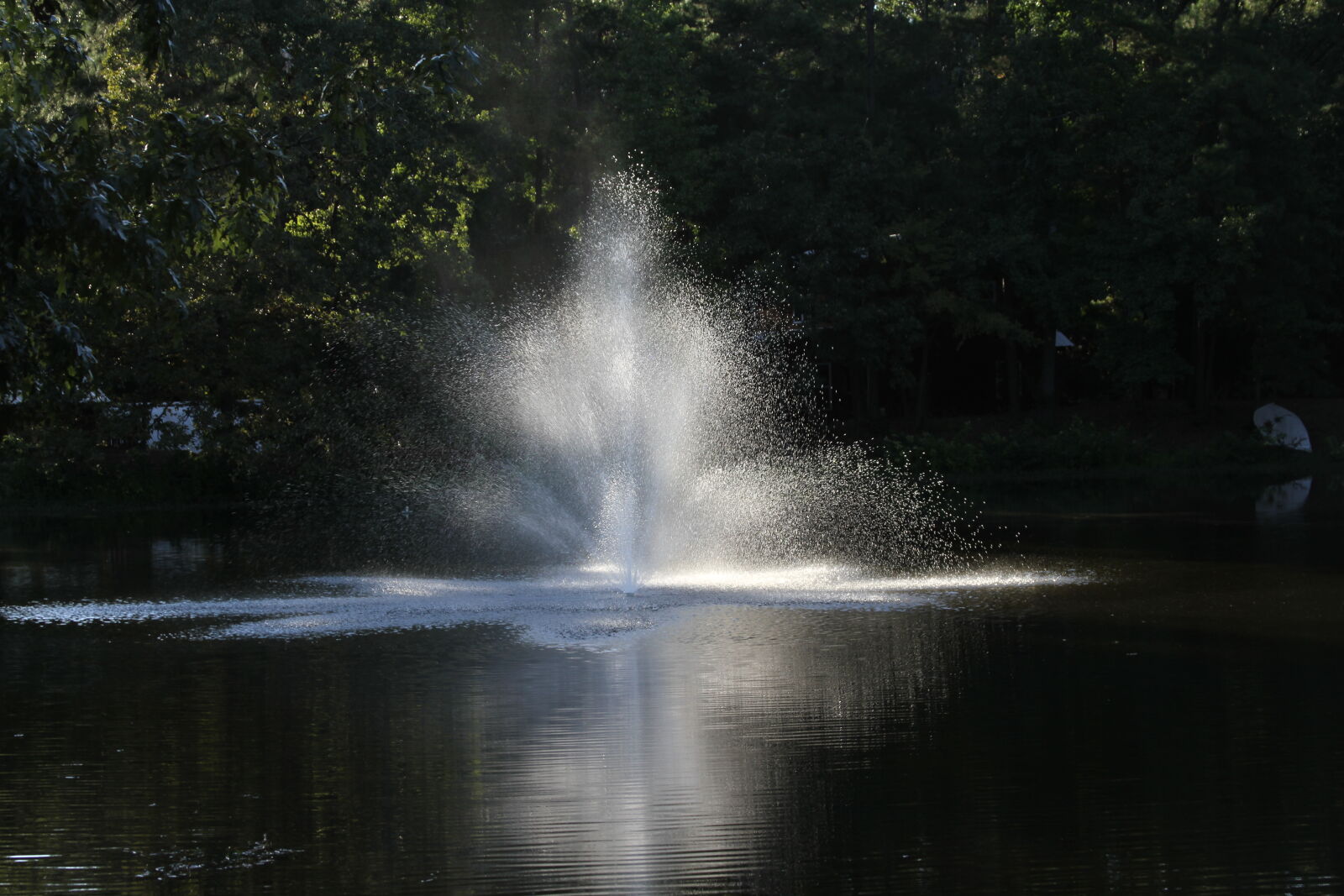 Canon EOS 7D + Canon EF 28-135mm F3.5-5.6 IS USM sample photo. Fountain photography