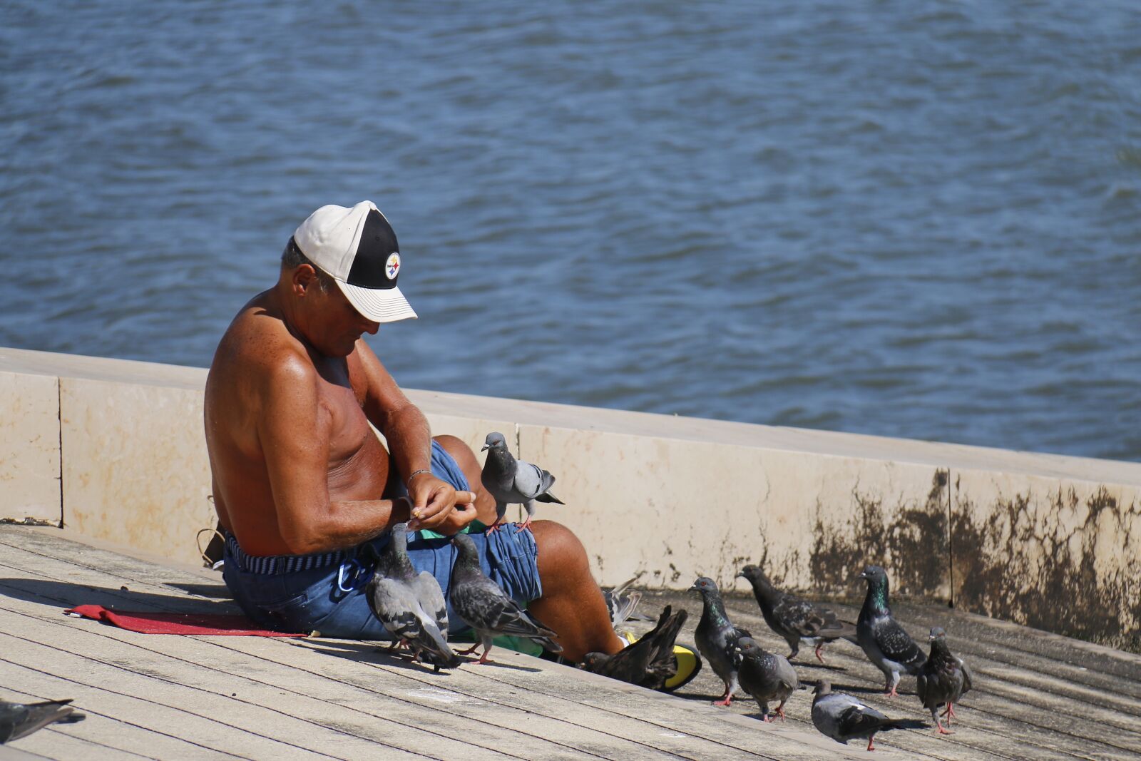 Canon EF-S 18-200mm F3.5-5.6 IS sample photo. Guy, pigeons, friends photography