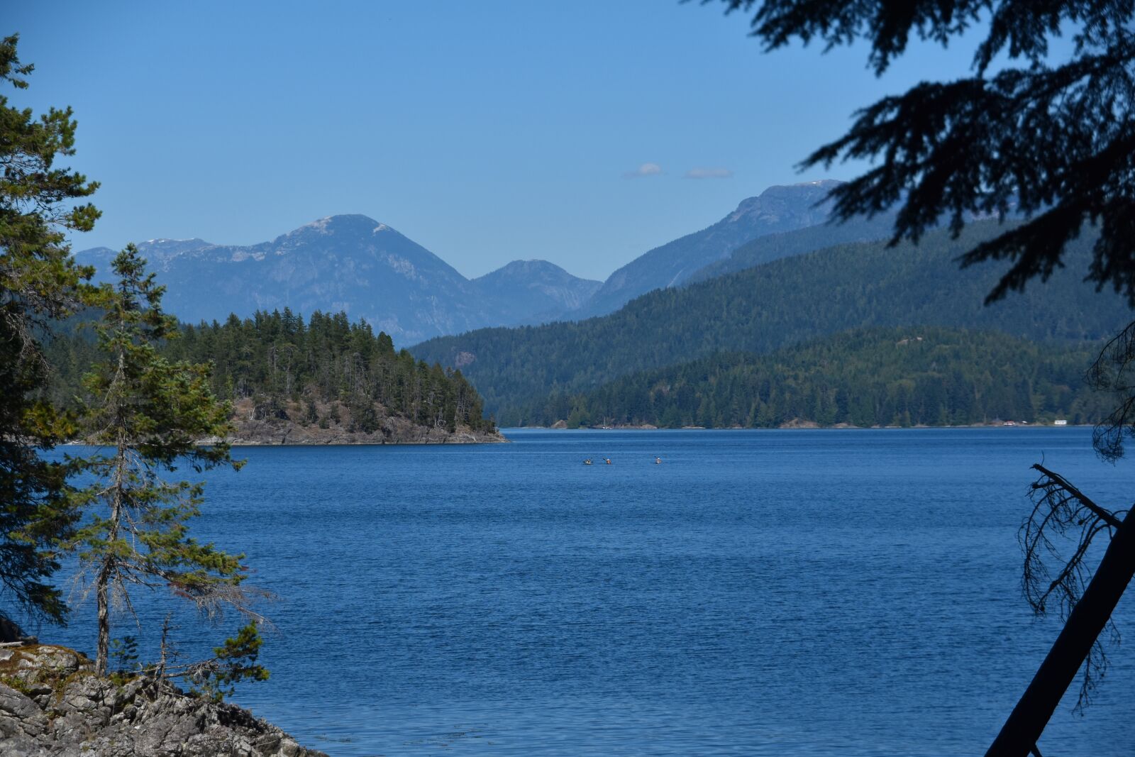 Nikon D5500 sample photo. British columbia, quadra island photography