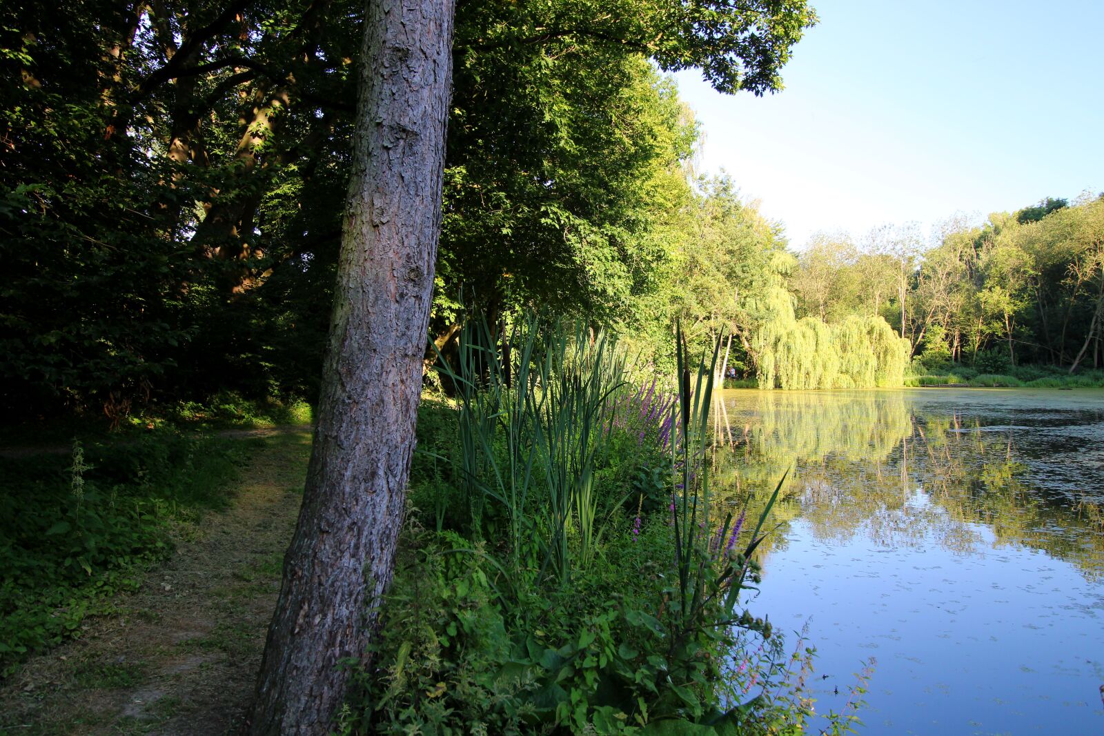 Canon EOS 2000D (EOS Rebel T7 / EOS Kiss X90 / EOS 1500D) sample photo. Landschaft, see, natur photography