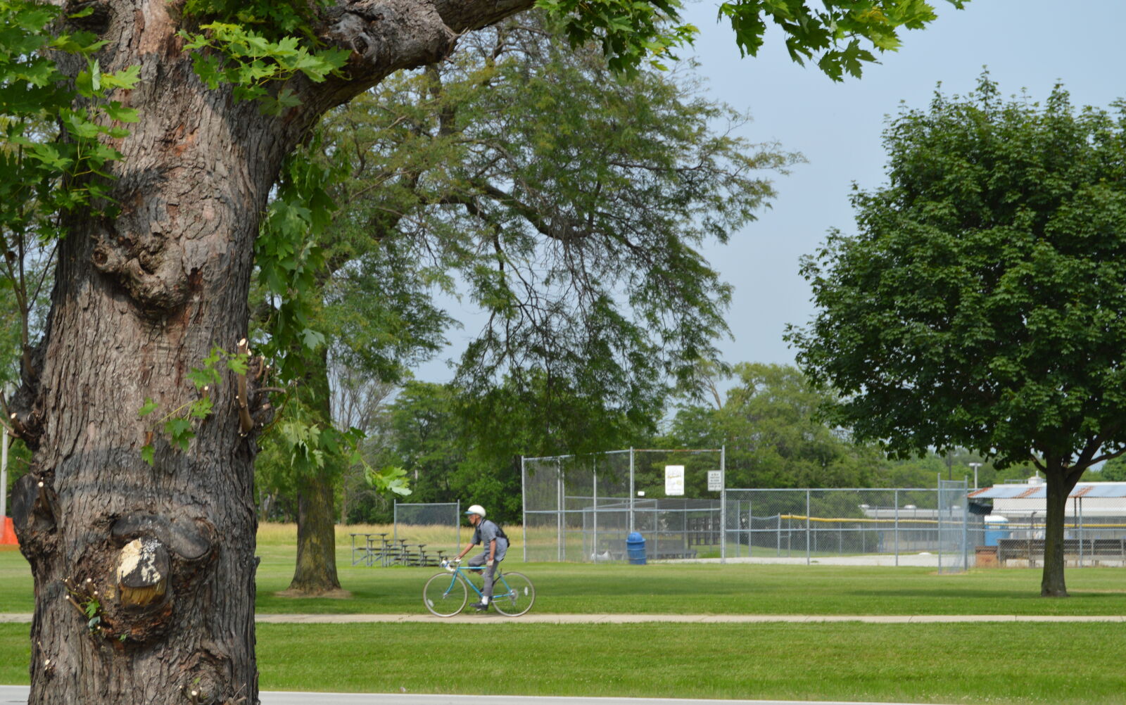 Nikon D3200 sample photo