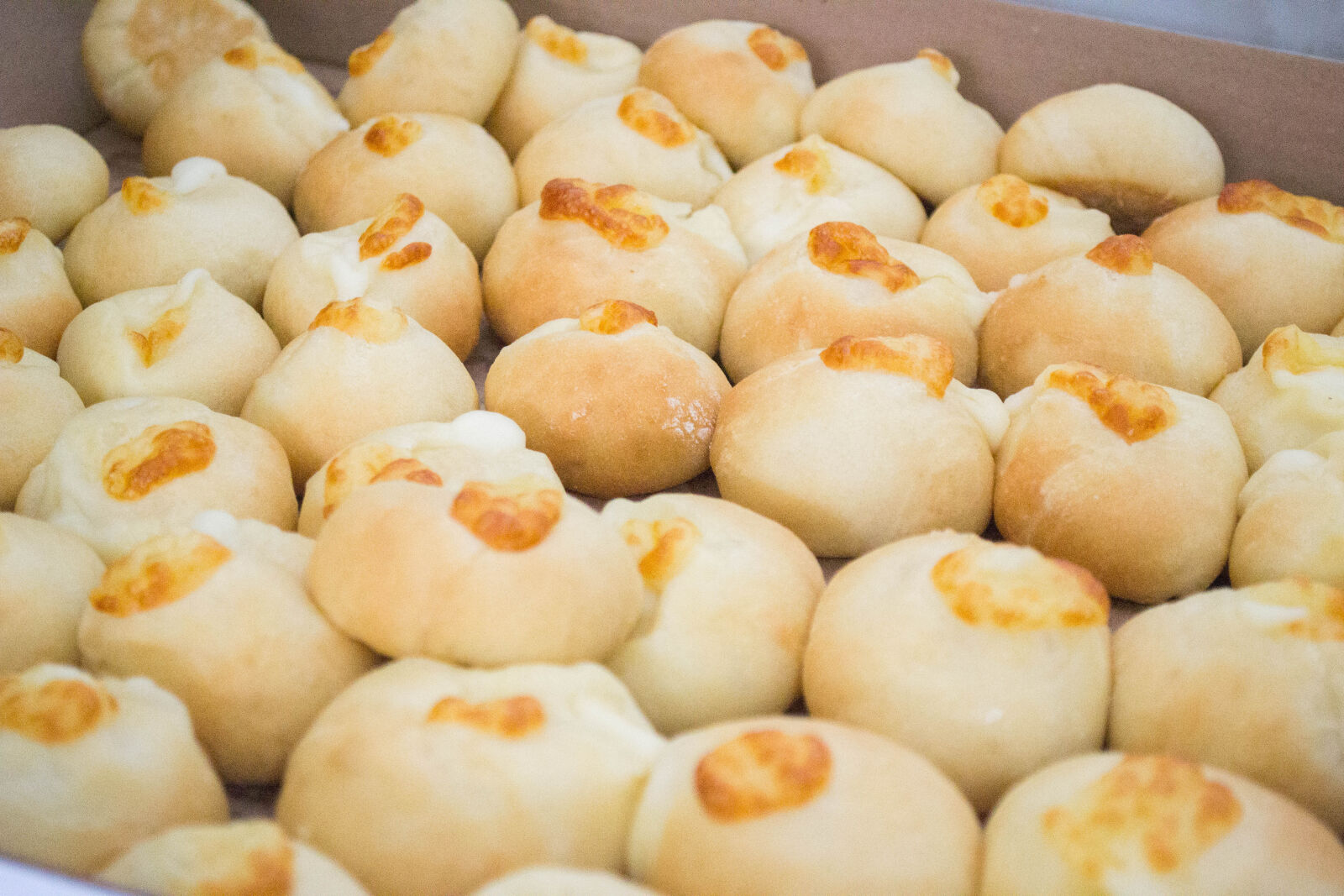 Nikon D3100 sample photo. Assado, comida, food, pastel photography