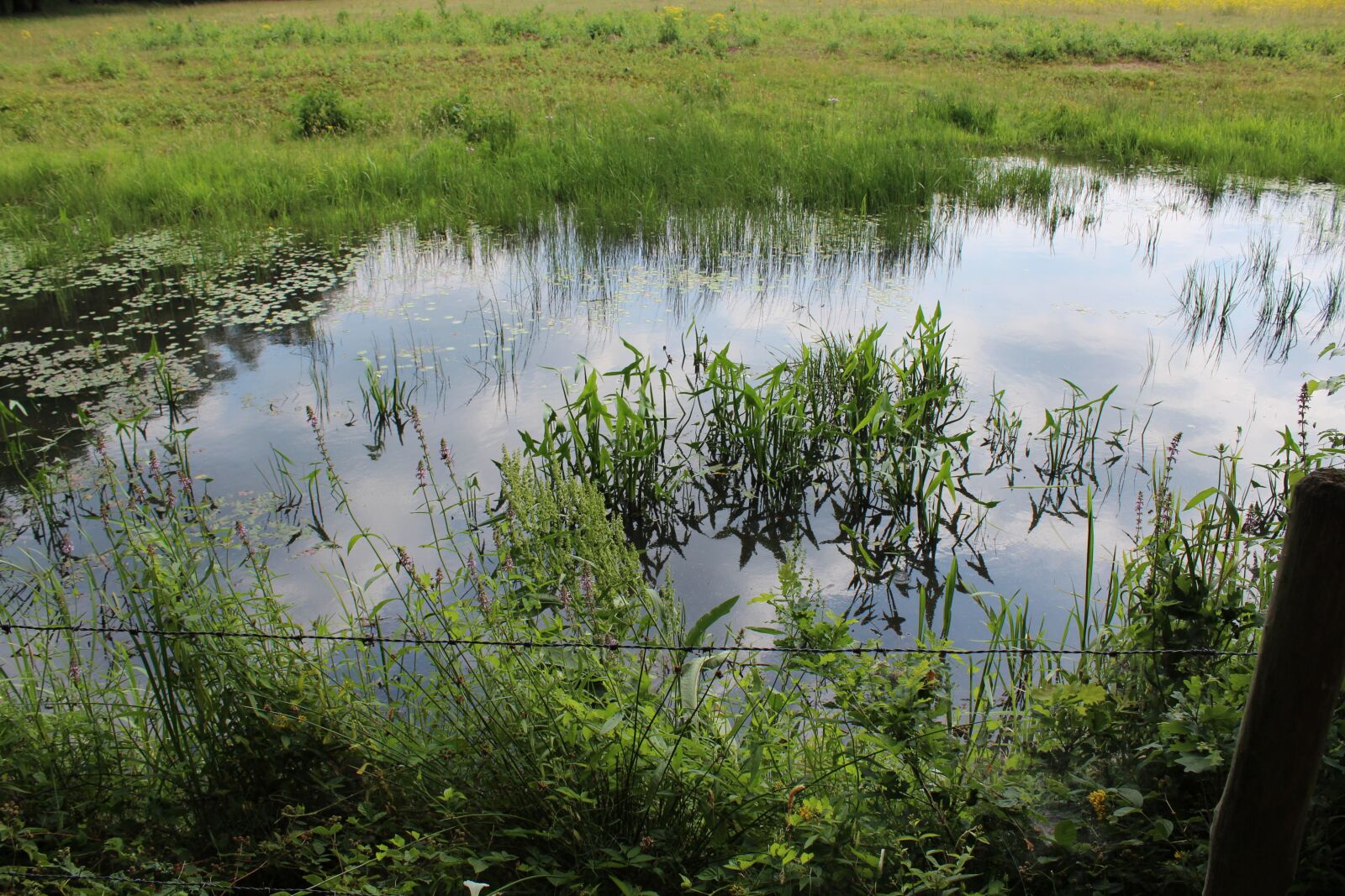 Canon EOS 1300D (EOS Rebel T6 / EOS Kiss X80) sample photo. Water, reflection, nature photography