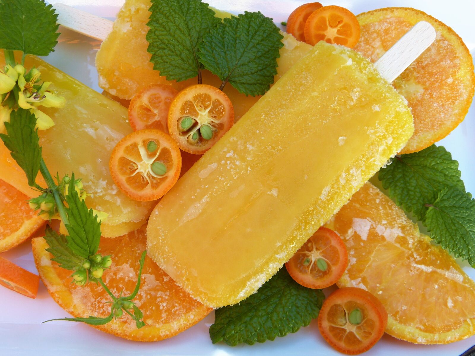 Panasonic Lumix DMC-FZ150 sample photo. Ice, ice cream, fruit photography