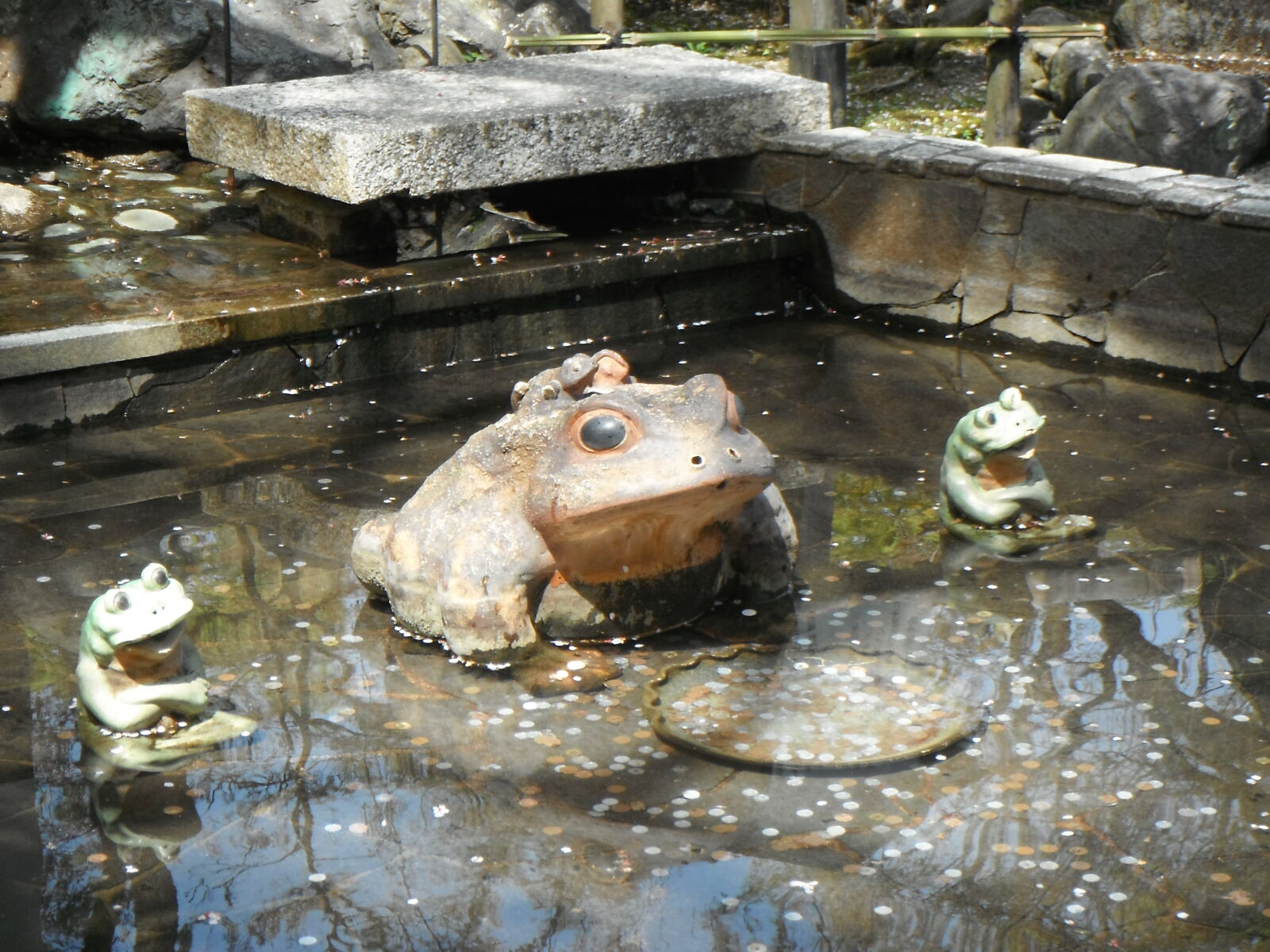 FujiFilm Finepix Z90 (Finepix Z91) sample photo