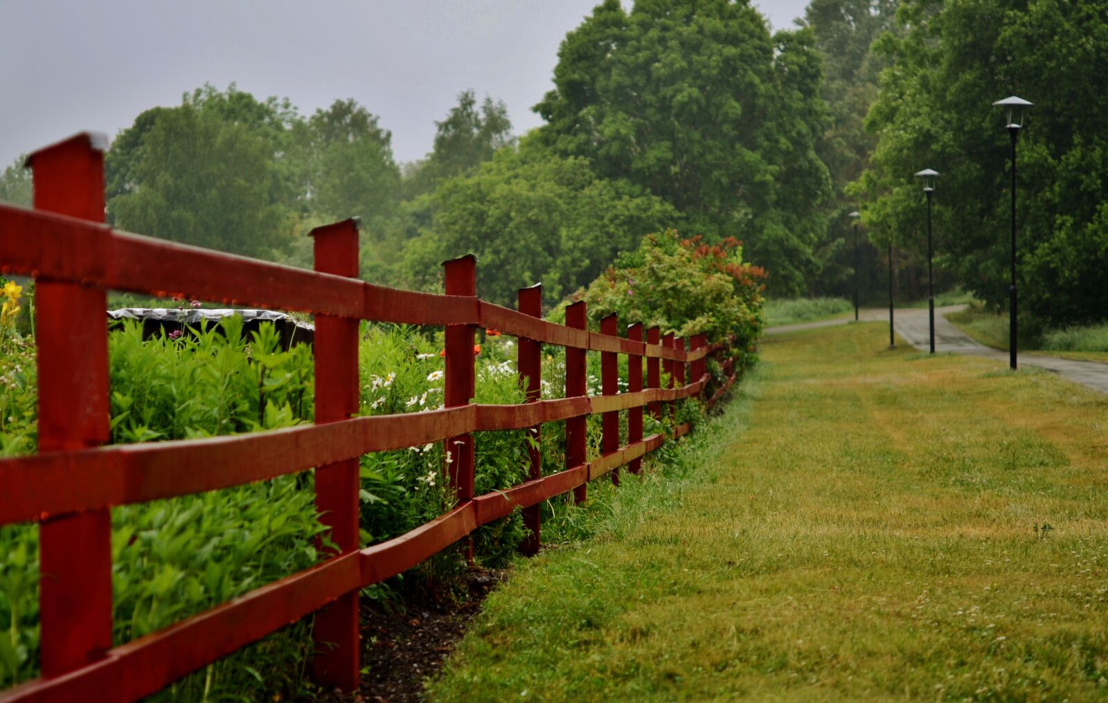 Nikon D7000 sample photo. Fence, forest, natur photography