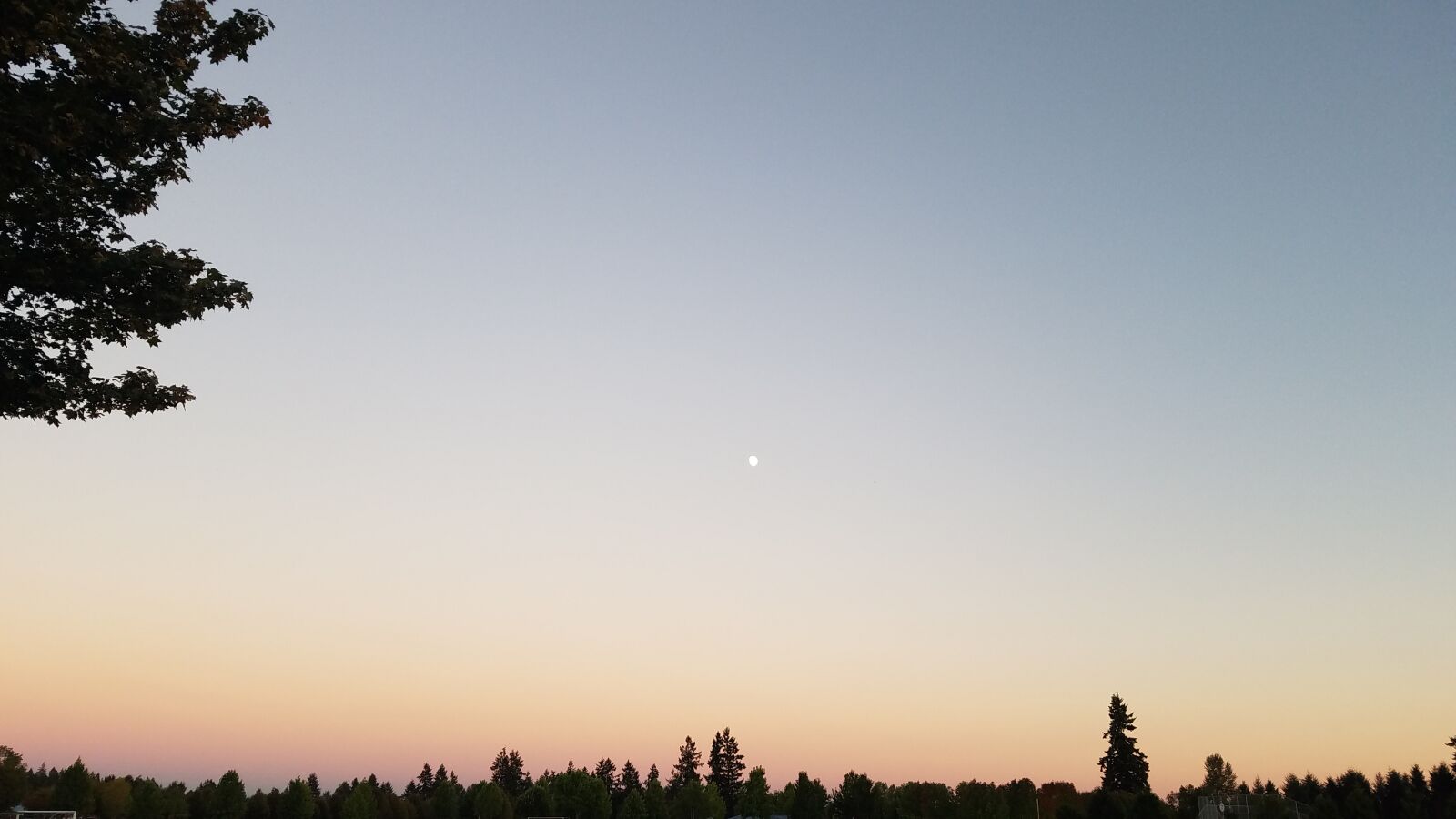 Samsung Galaxy S7 sample photo. Moon, sky, sunset, tree photography