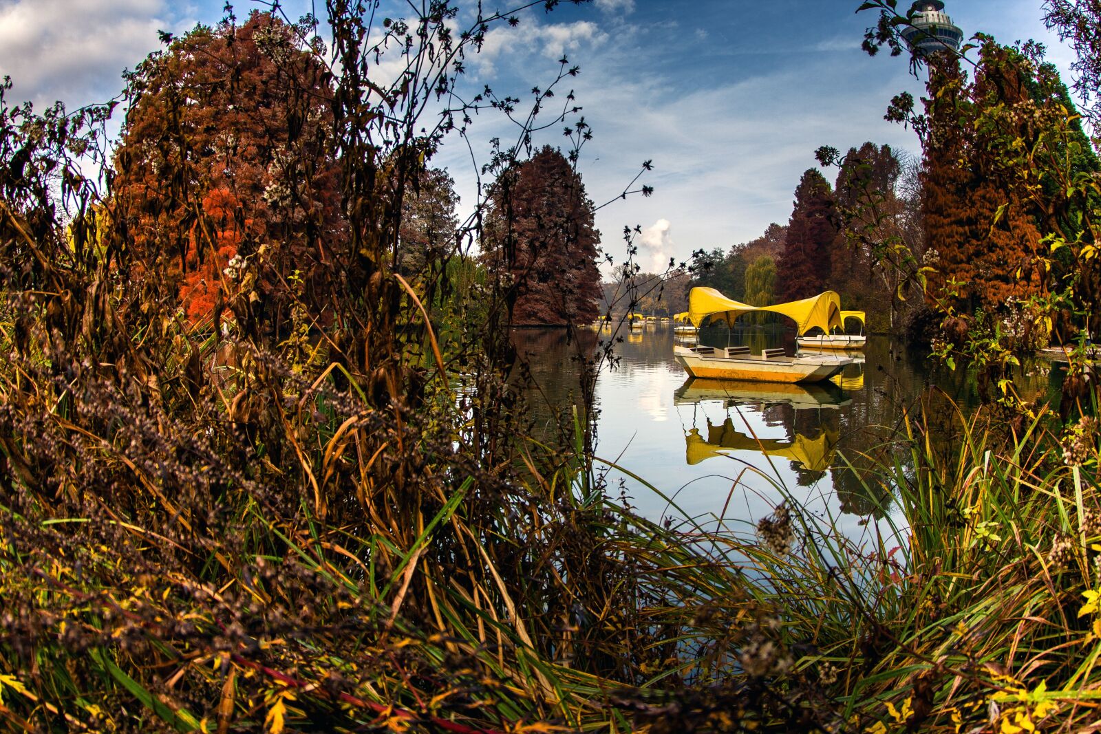 Canon EOS 600D (Rebel EOS T3i / EOS Kiss X5) sample photo. Autumn, autumn mood, fall photography