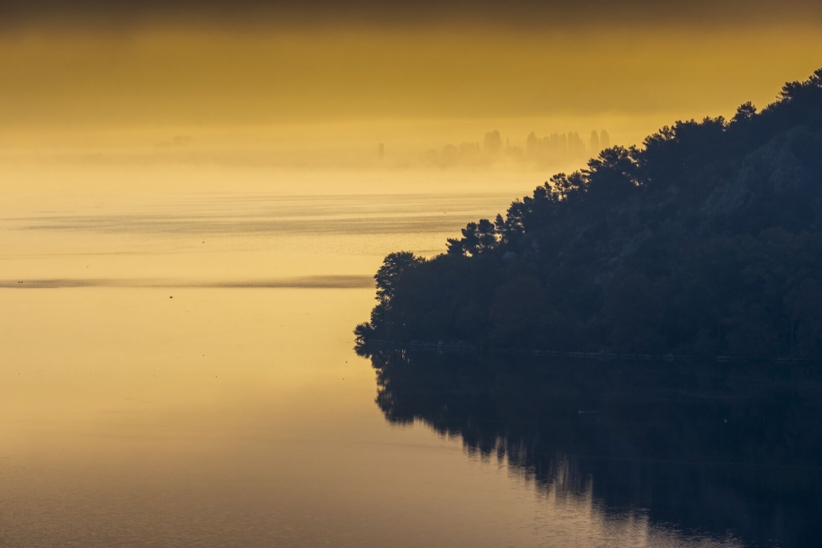 Nikon D7200 sample photo. Lake, yellow, gold photography