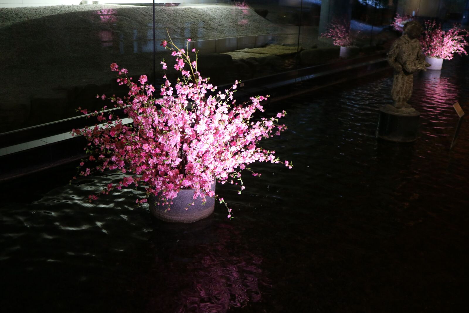 Canon EOS M3 sample photo. Cherry blossoms, night view photography