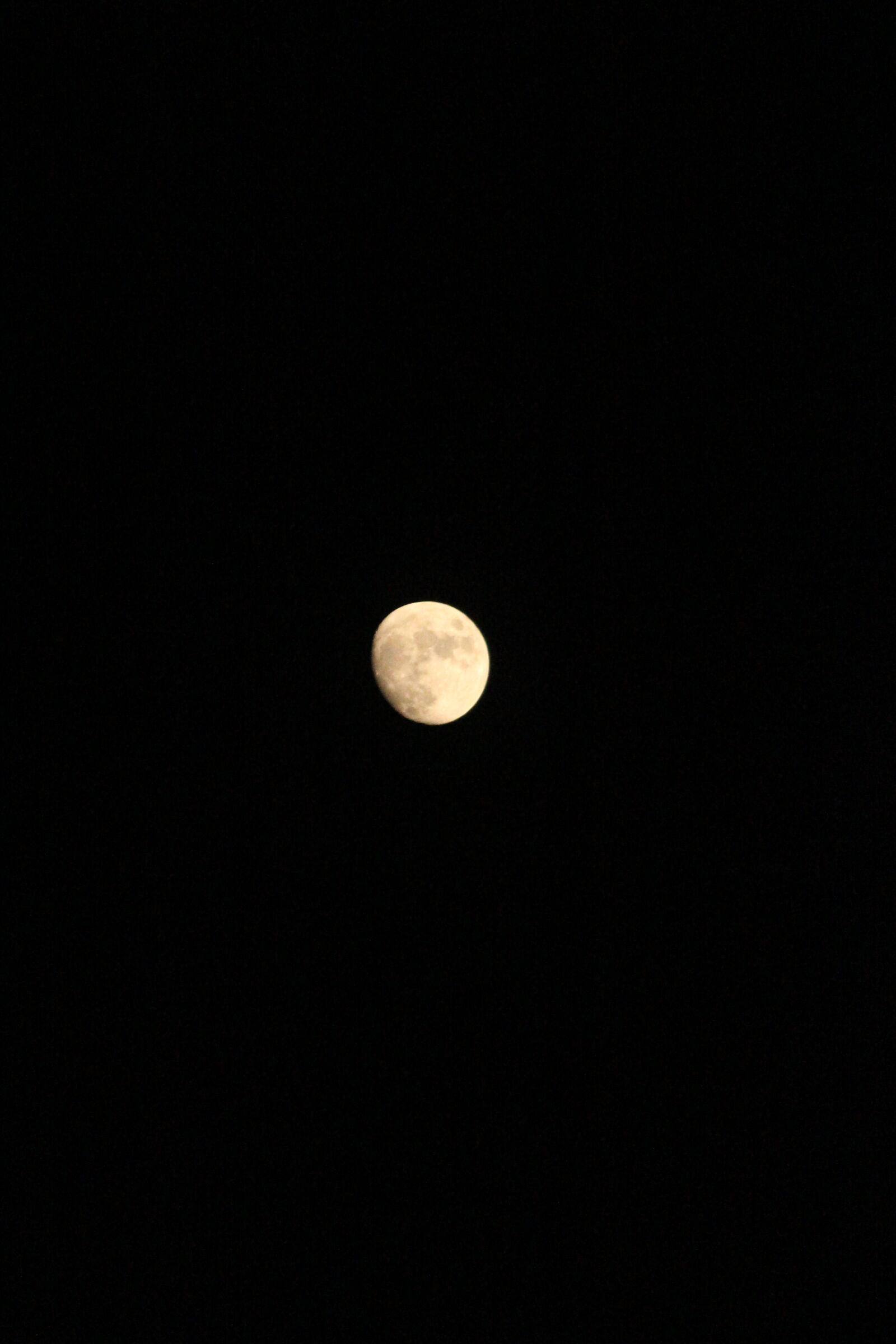 Canon EF-S 55-250mm F4-5.6 IS II sample photo