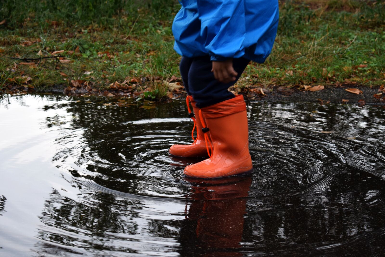 Nikon D3300 sample photo. Waters, variety, human photography