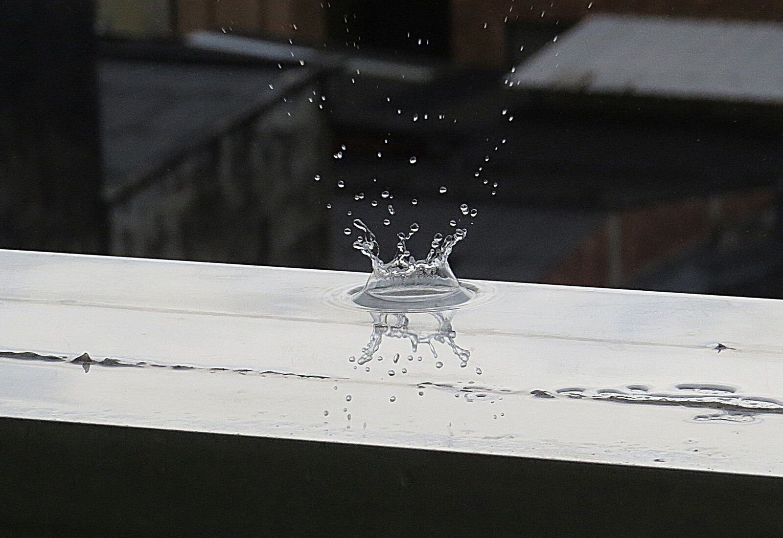 Canon PowerShot SX50 HS sample photo. Image black-and-white, drop, water photography