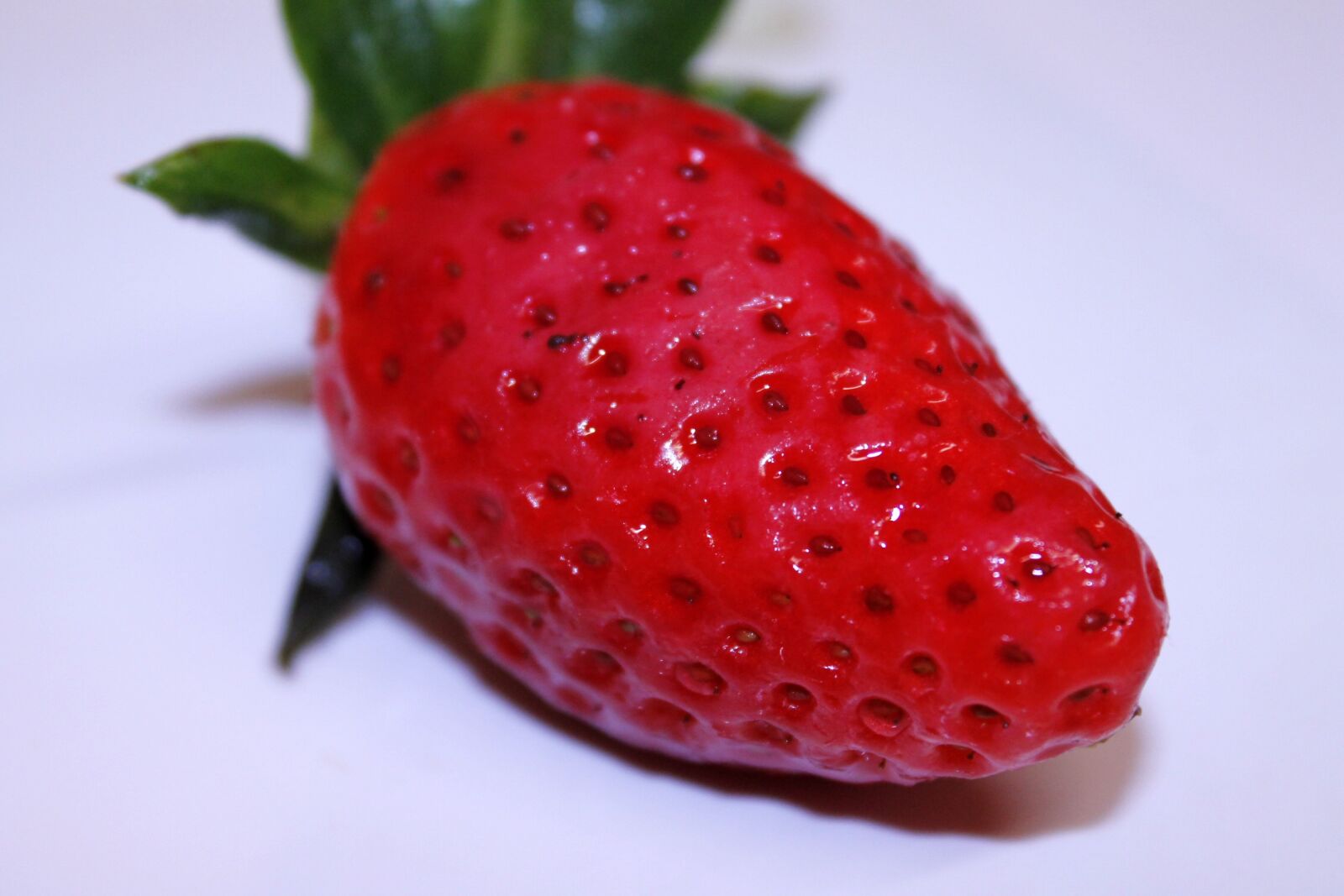 Canon EOS 1100D (EOS Rebel T3 / EOS Kiss X50) sample photo. Strawberry, sweet, red photography