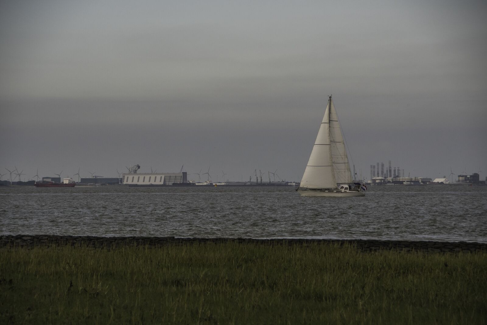 Nikon D7500 sample photo. Vlissingen, sailing boat, westerschelde photography