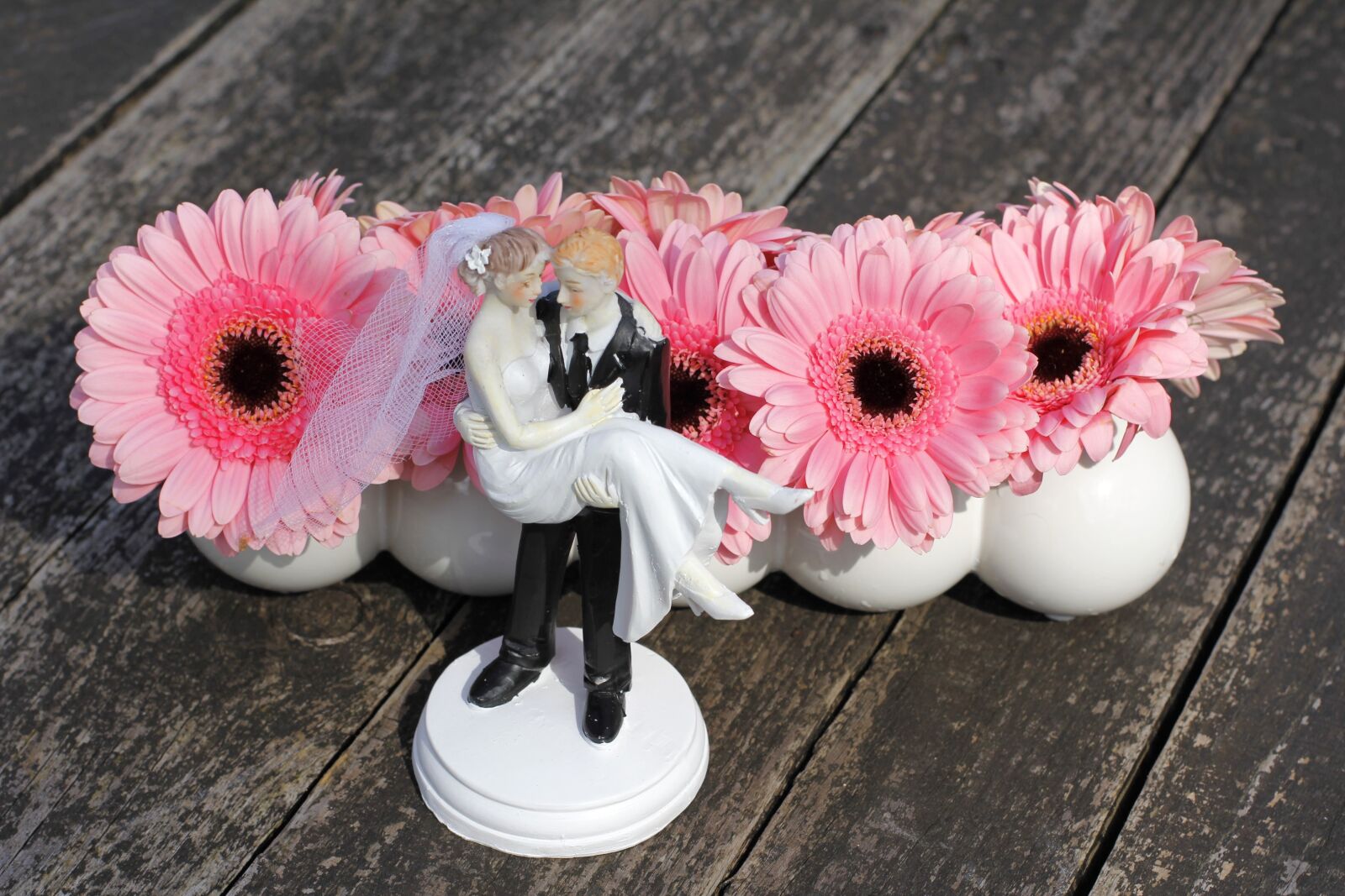 Canon EOS 60D + Canon EF 50mm F1.4 USM sample photo. Deco, decoration, gerbera photography