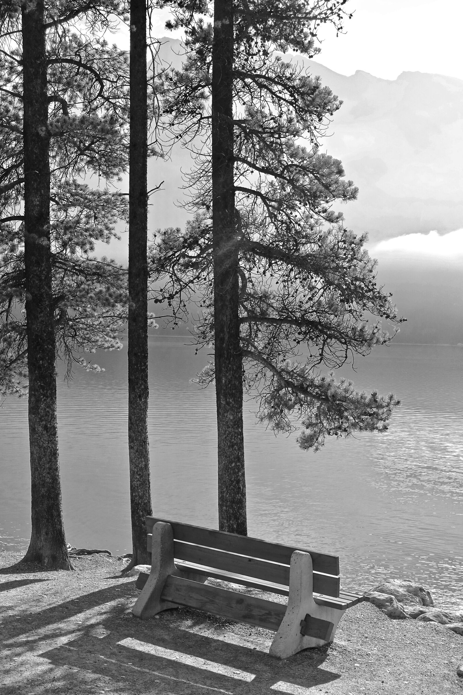 Sony Cyber-shot DSC-RX100 III sample photo. Bench, seat, trees photography