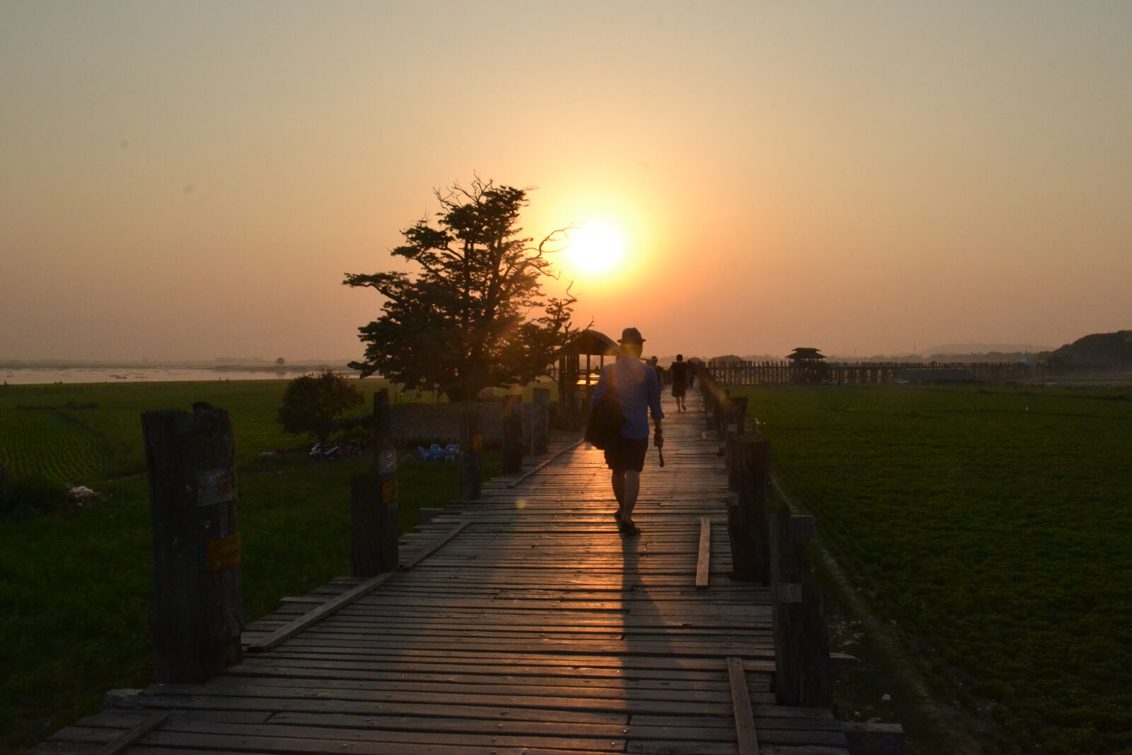 Nikon D3100 sample photo