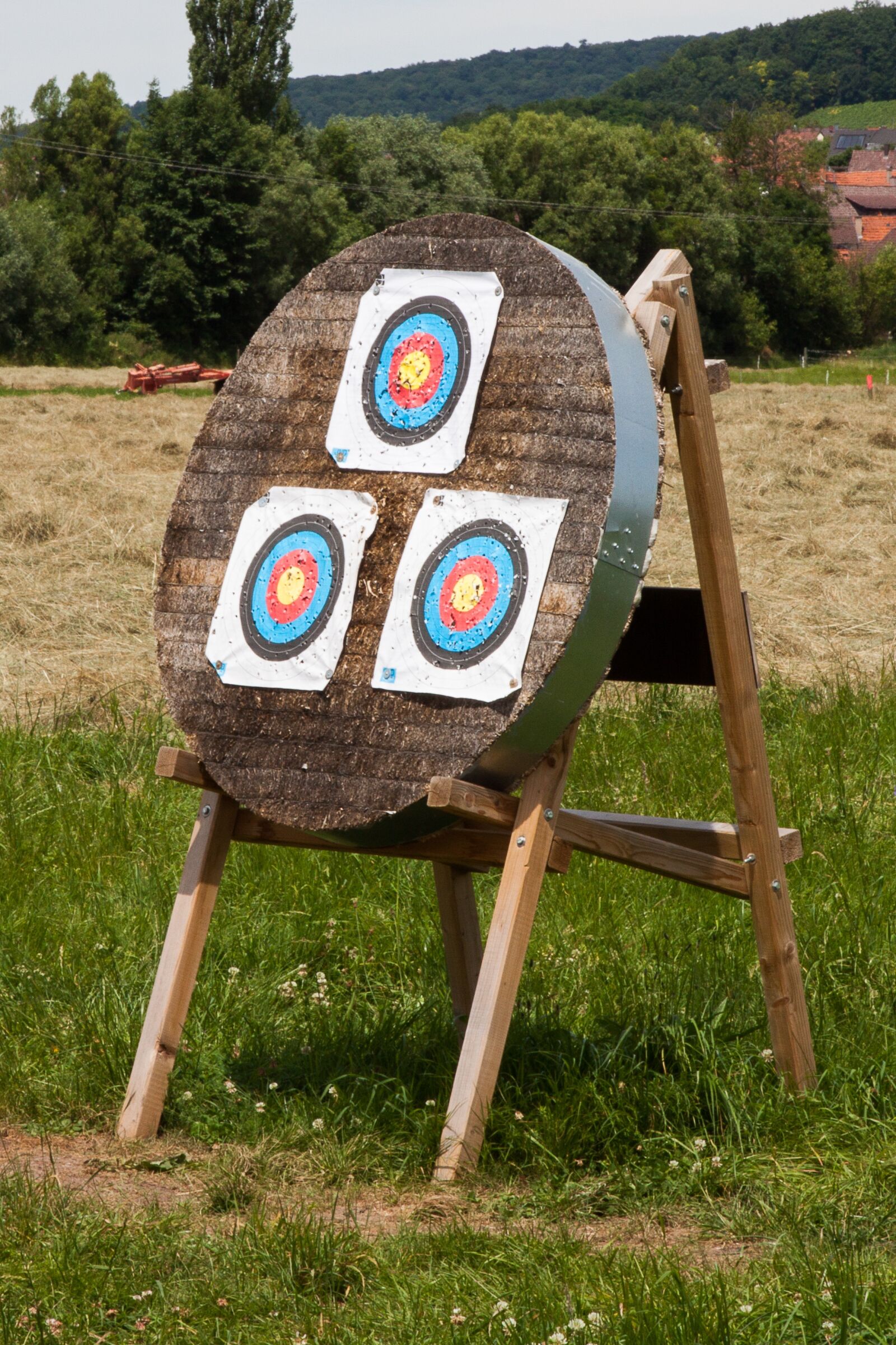 Canon EOS 50D + Canon EF 24-105mm F4L IS USM sample photo. Target, objectives, archery photography
