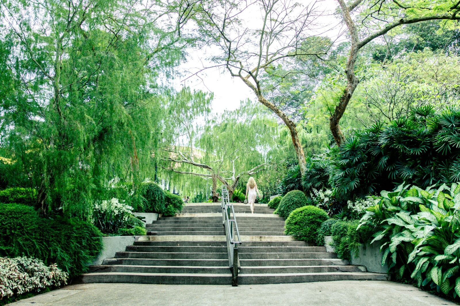 Canon EOS 750D (EOS Rebel T6i / EOS Kiss X8i) sample photo. Singapore, botanic garden, steps photography
