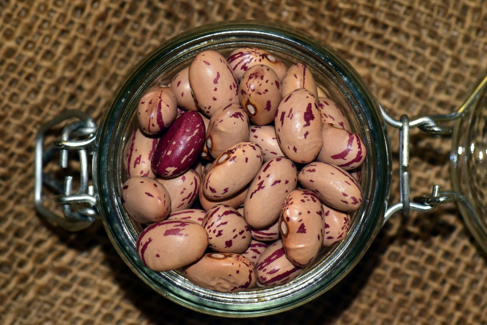 Nikon D3300 sample photo. Beans, quail beans, legumes photography