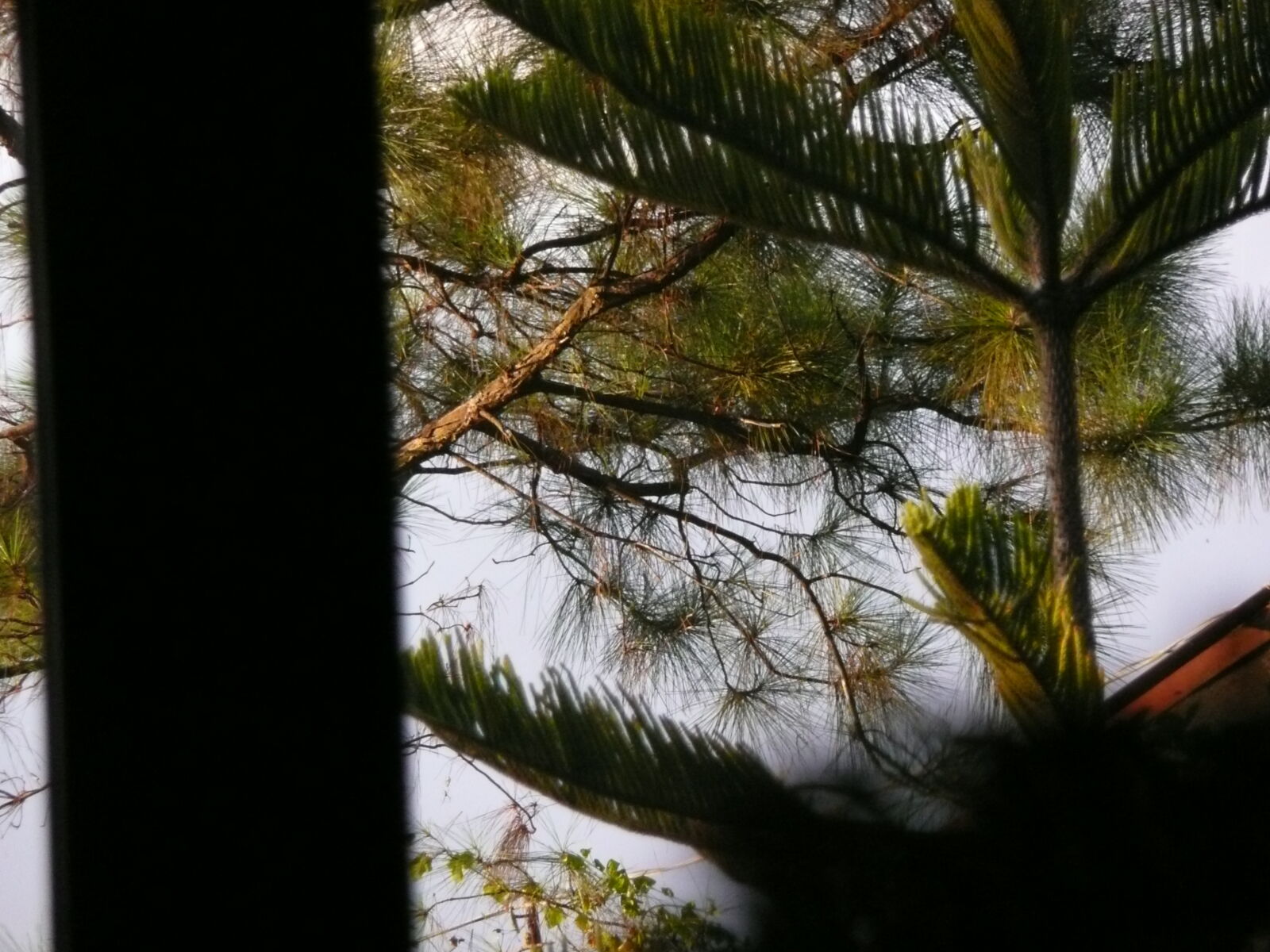 Panasonic DMC-TZ3 sample photo