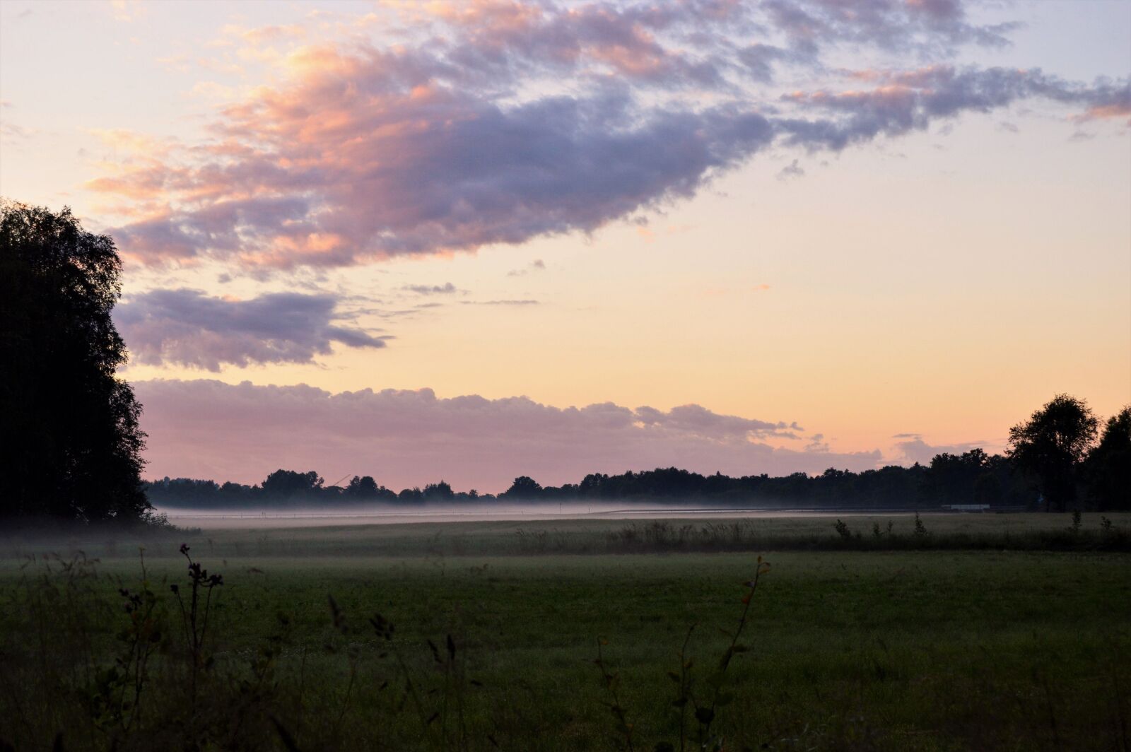 Nikon D3200 sample photo. Mist, evening, go photography